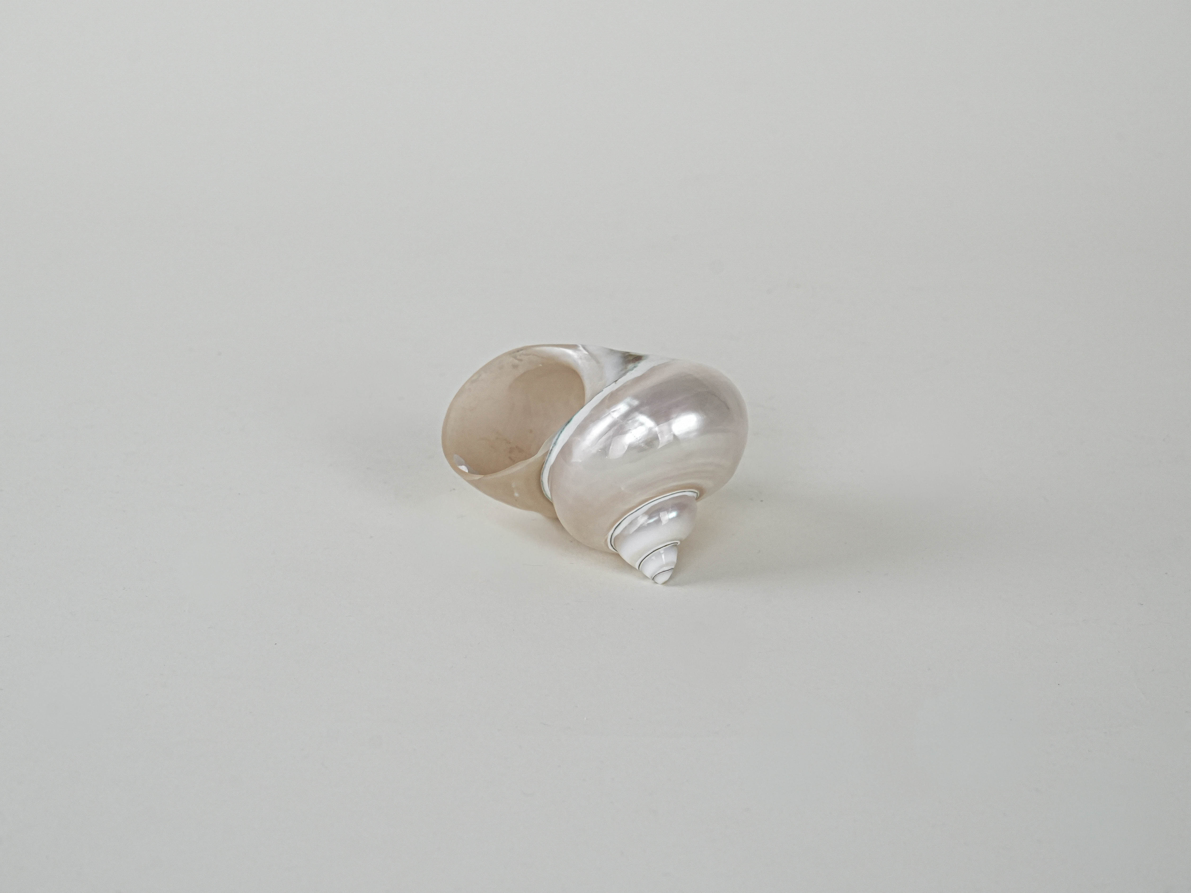 Mother-of-pearl Shell Porcelain 1970s
