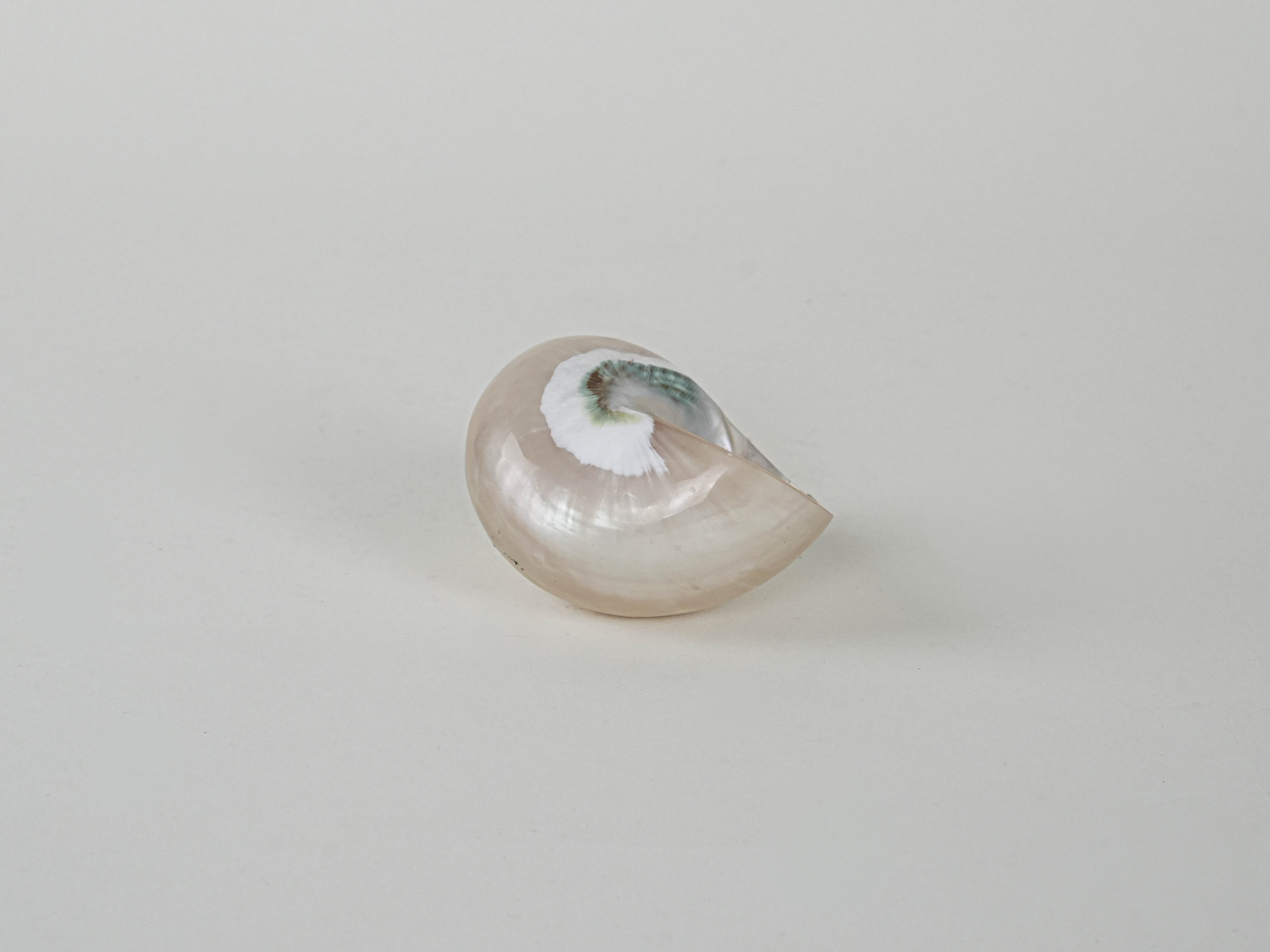 Perlmutt Muschel Porzellan 1970er Jahre