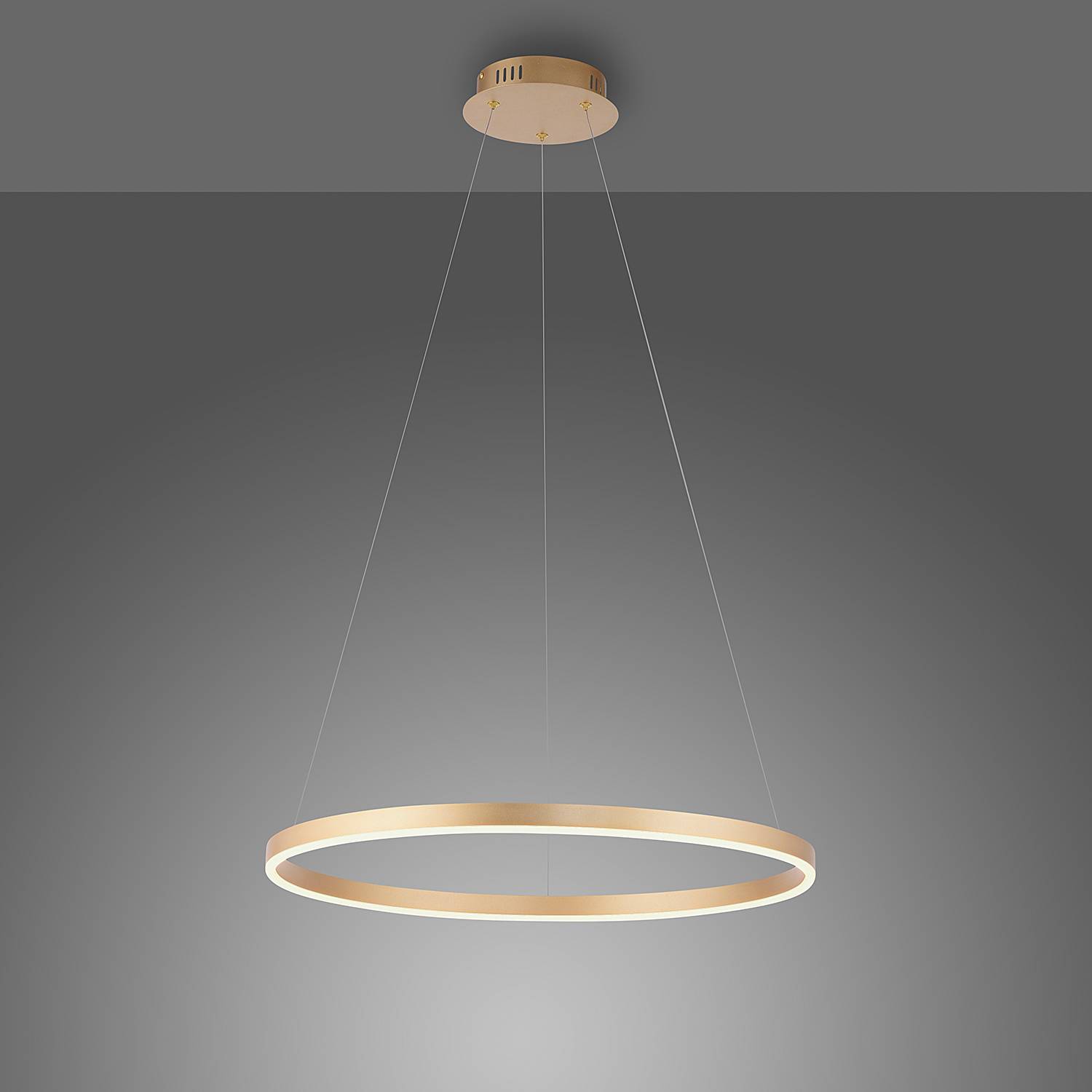 LED pendant light Ritus Type B Plastic Aluminum Brass