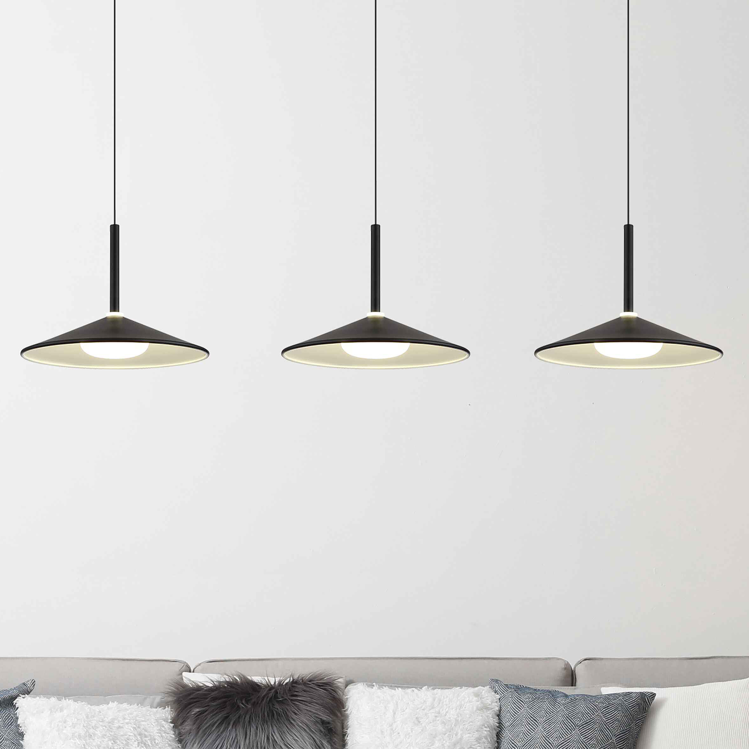 Lampone Type C LED Pendant Light Iron Black