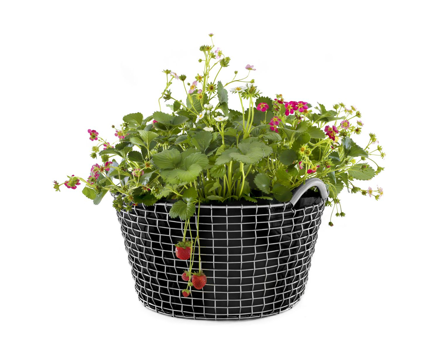 Classic 35 Basket Stainless Steel Silver