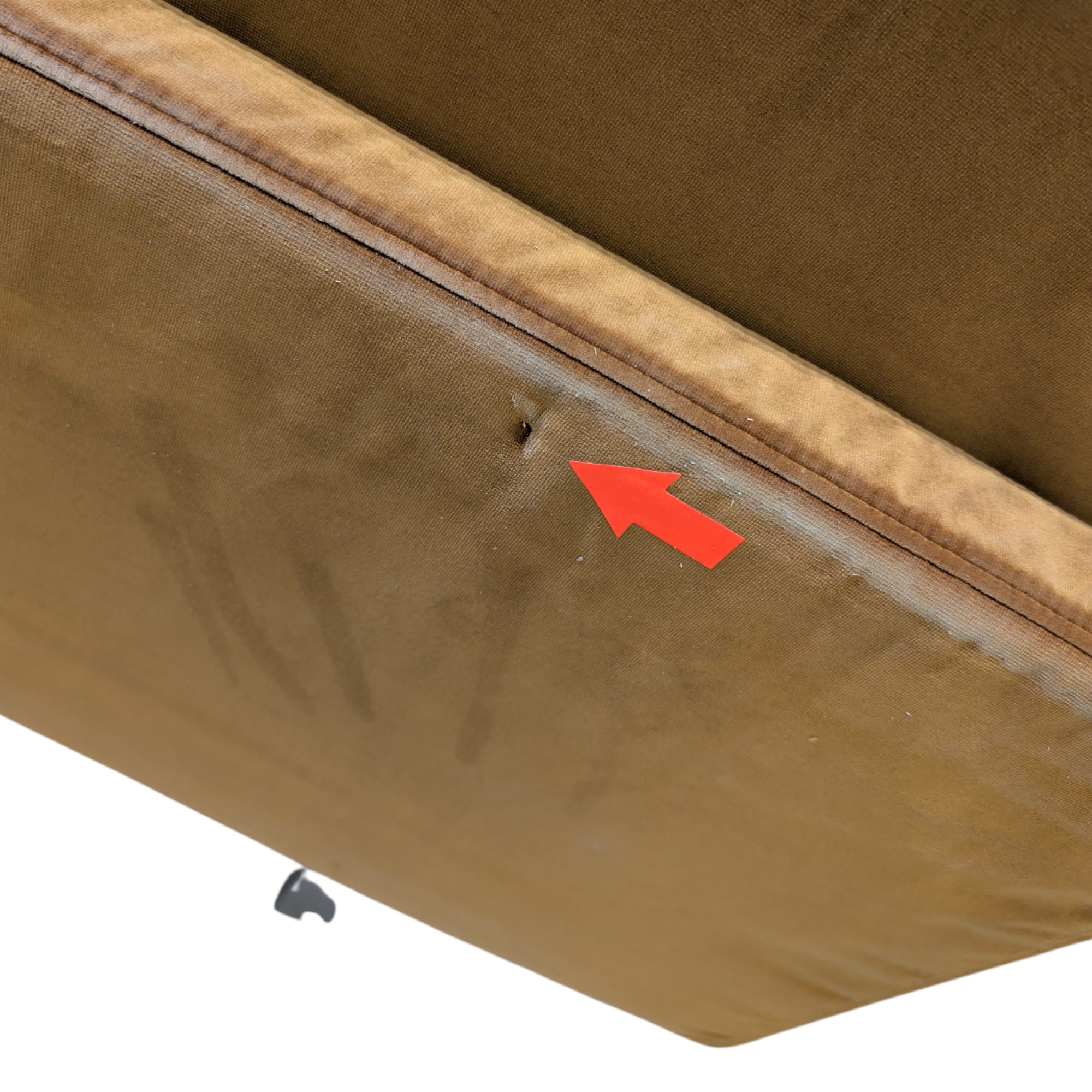 Ernest Sofa 2-Sitzer Vega Sand Dune