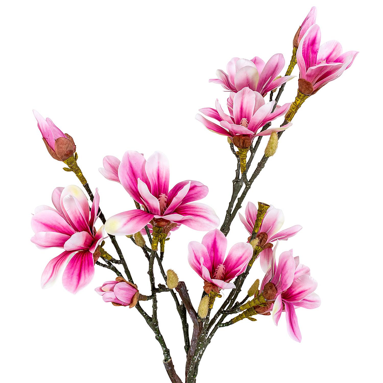 Magnolia Artificial Plant Polyethylene Black Pink