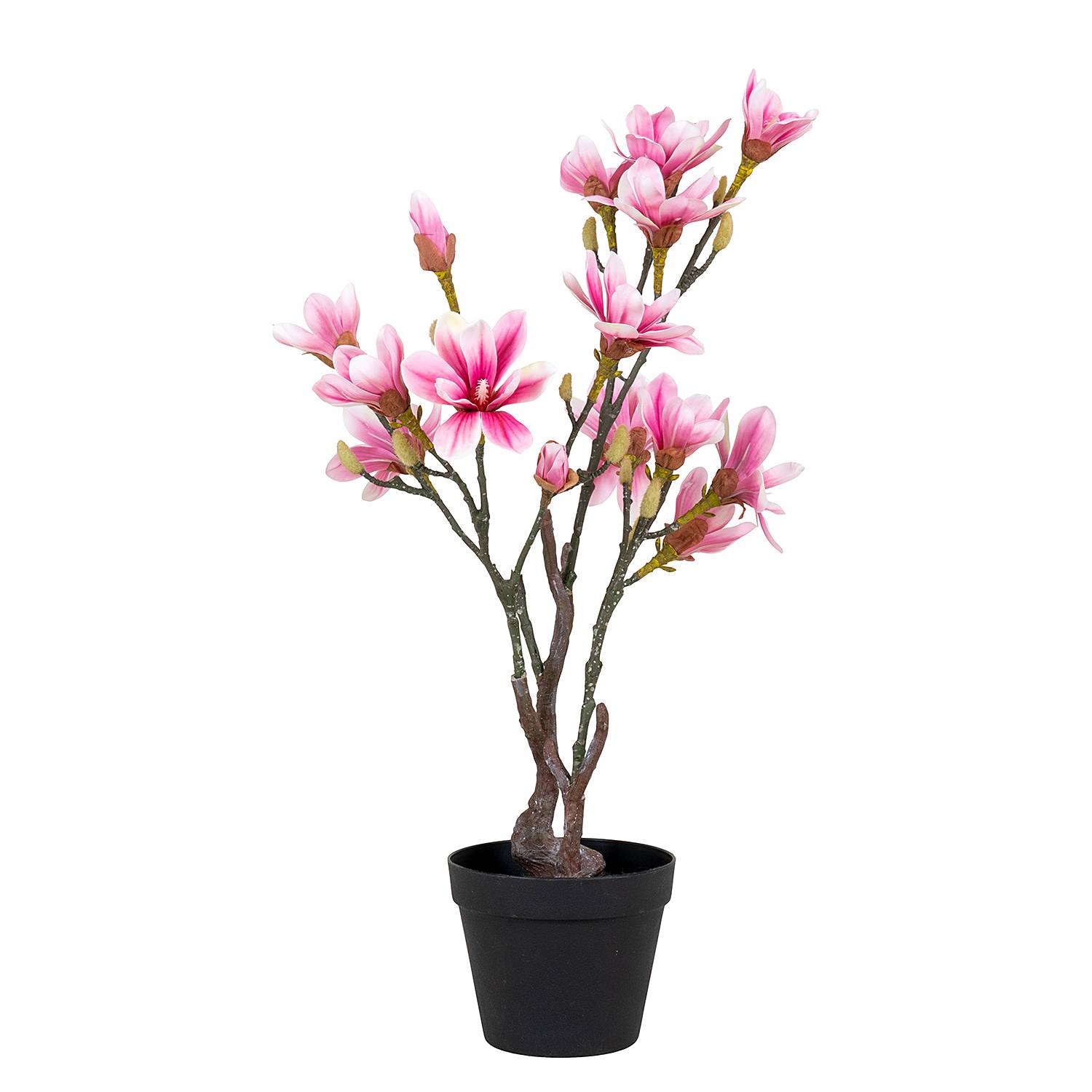 Magnolia Artificial Plant Polyethylene Black Pink