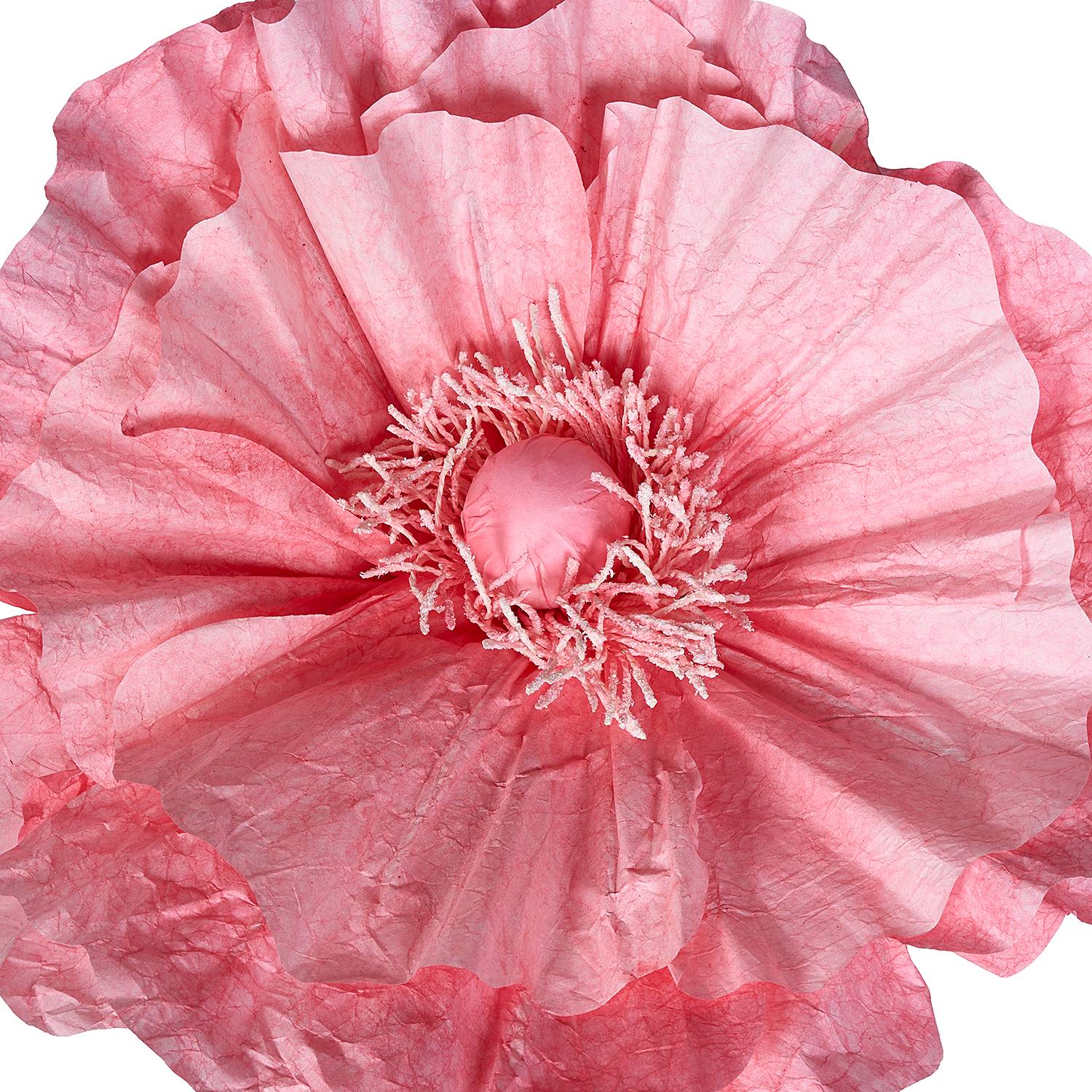 BLOOM Decorative Flower Paper Iron Pink