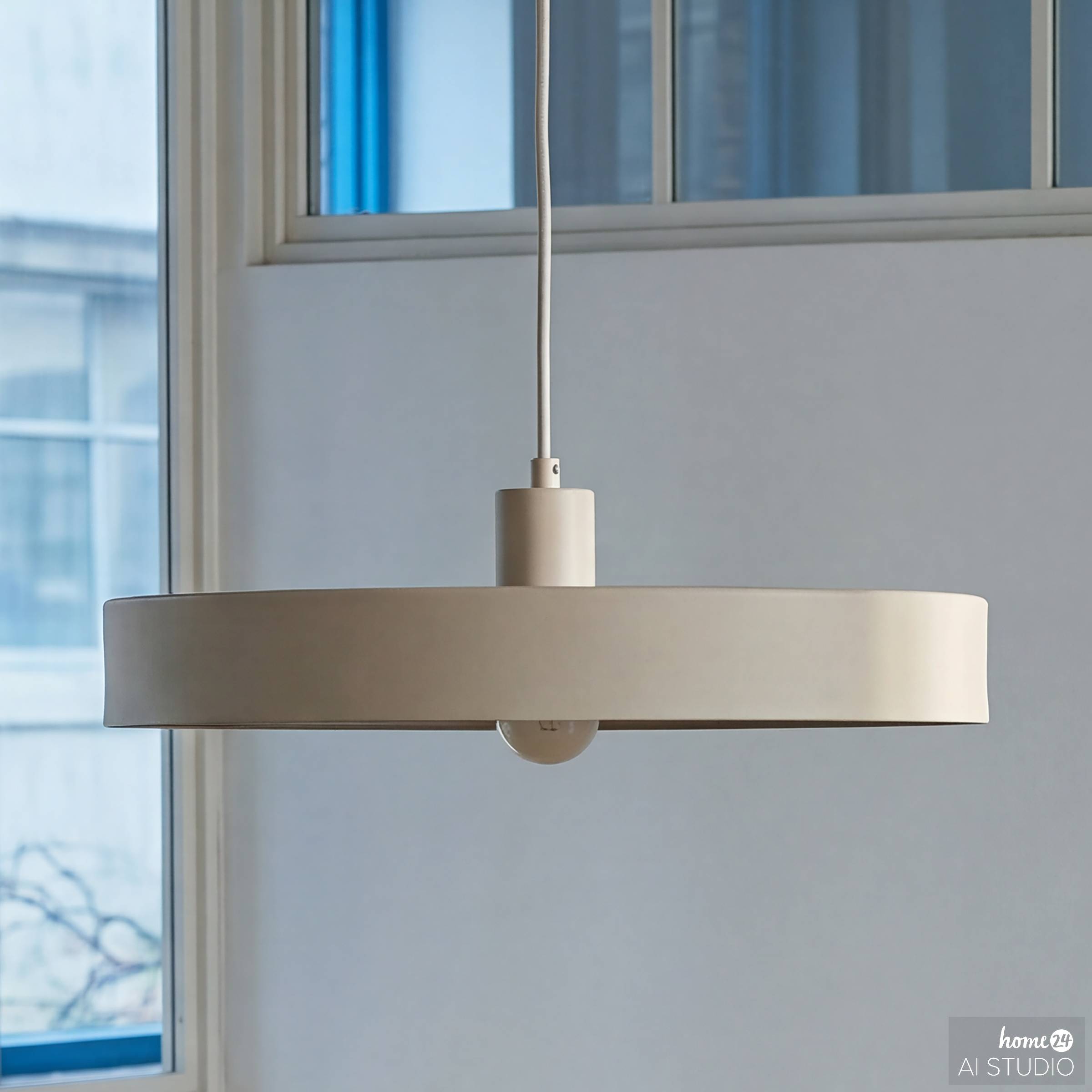 Jurea Ring Diffuser Pendant Light 1-bulb Iron