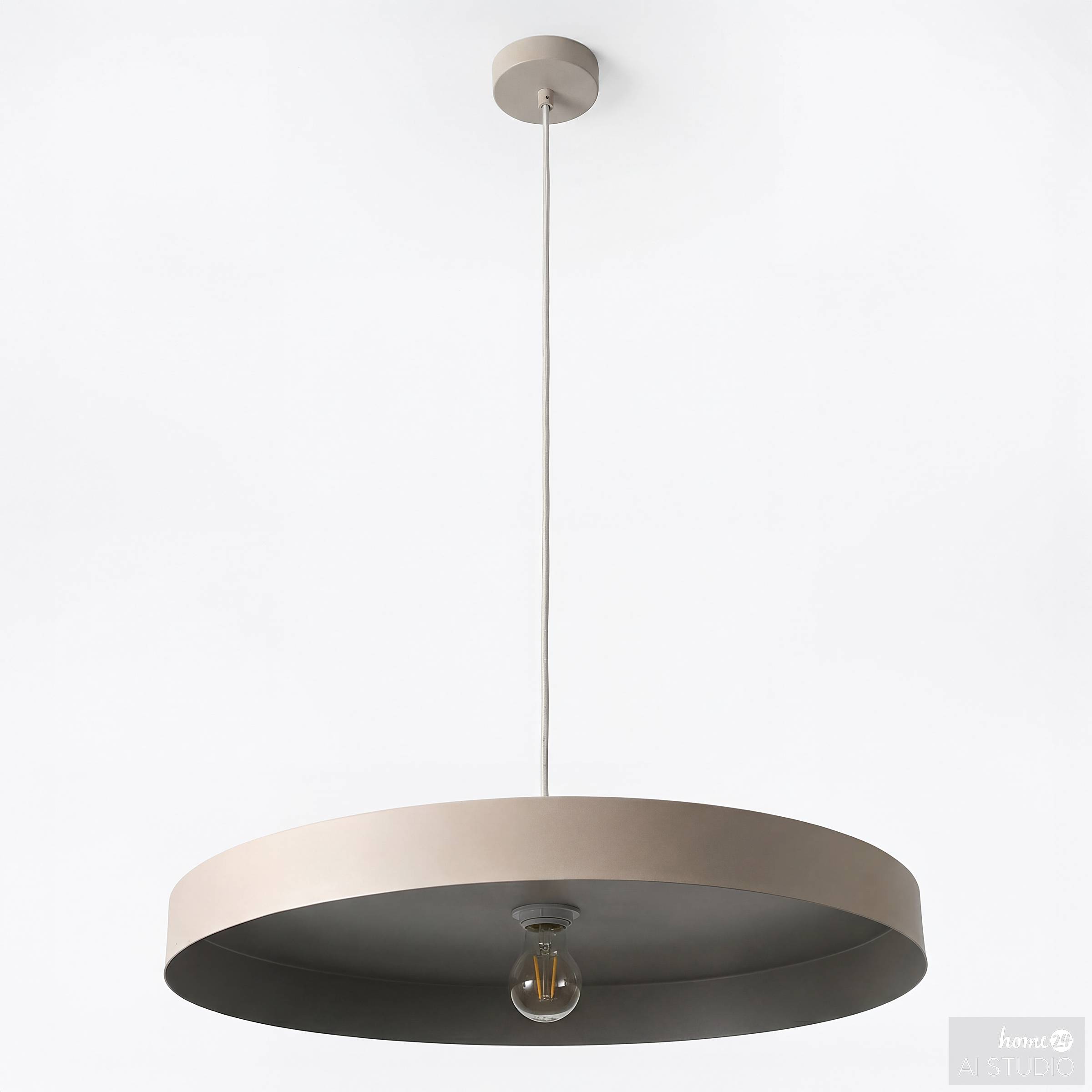 Jurea Ring Diffuser Pendant Light 1-bulb Iron