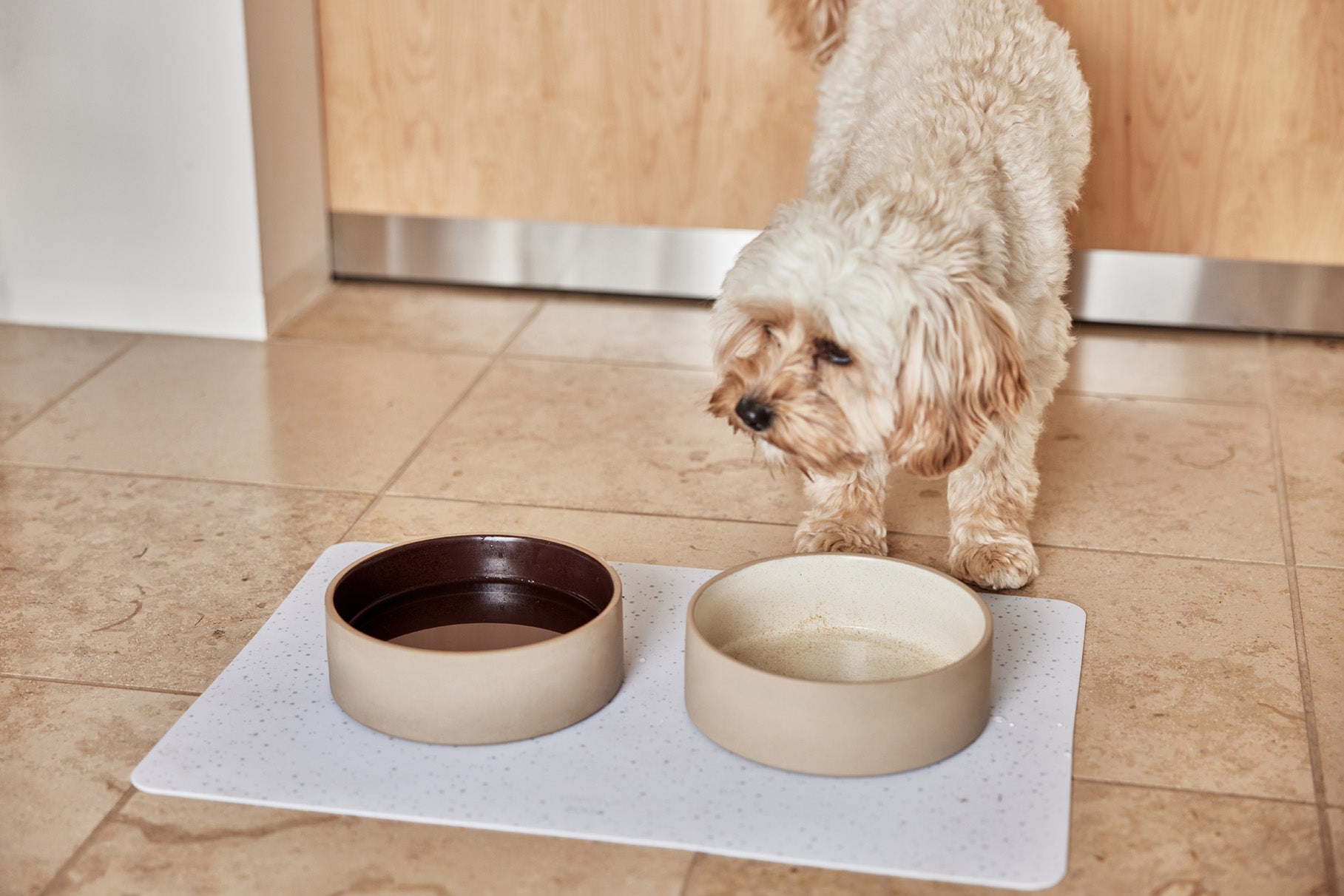 Koko Hunde-Futtermatte Silikon Blau