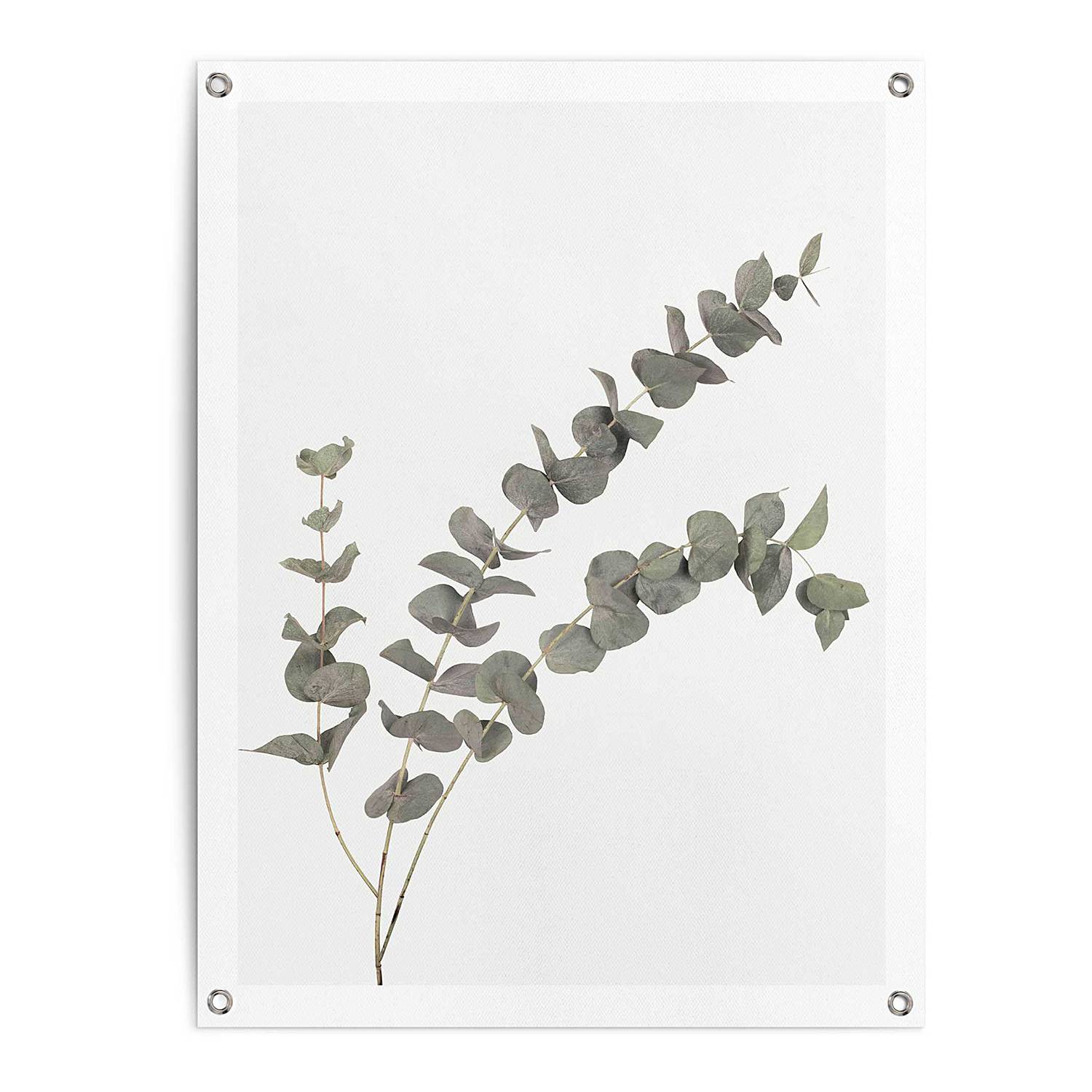 Outdoor-Poster Eukalyptus PVC Grün 60 x 80 cm