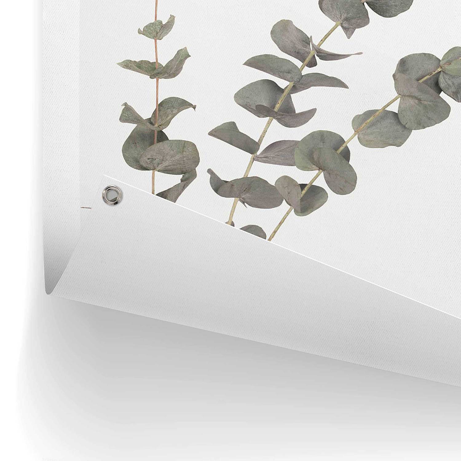 Outdoor-Poster Eukalyptus PVC Grün 60 x 80 cm