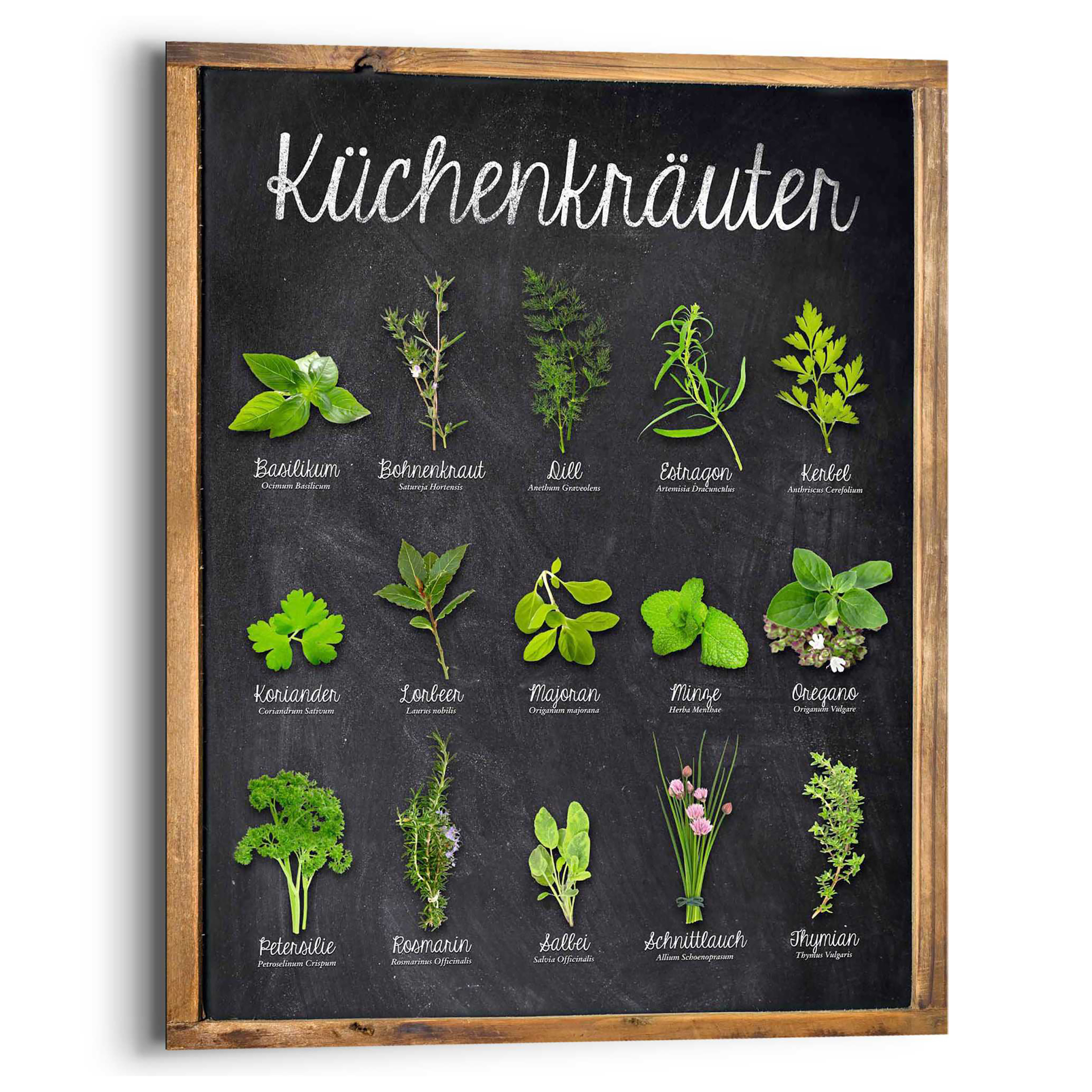 Wandbild Küchenkräuter MDF Grün 40 x 50 cm