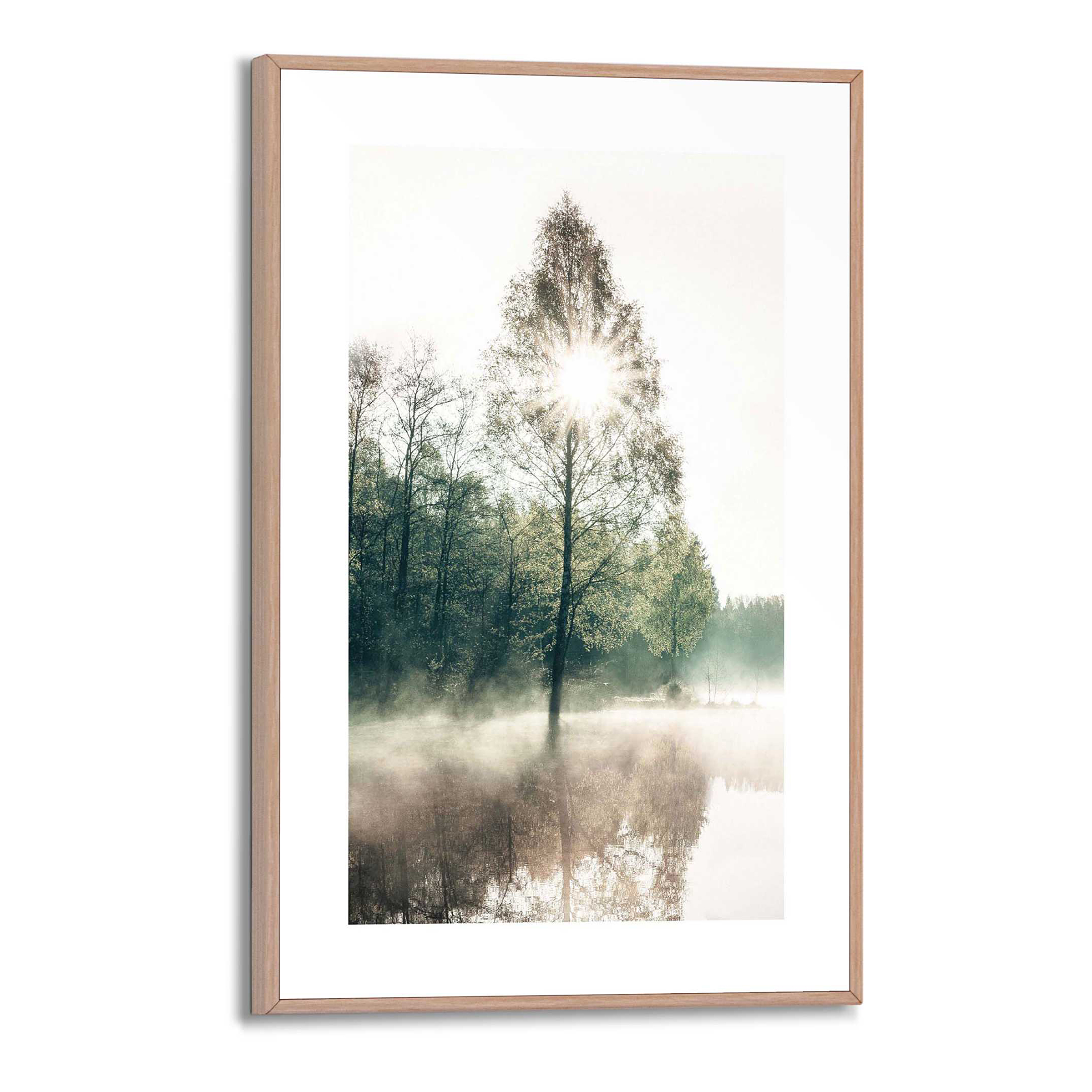 Kunstdruck Sonne durch die Bäume MDF