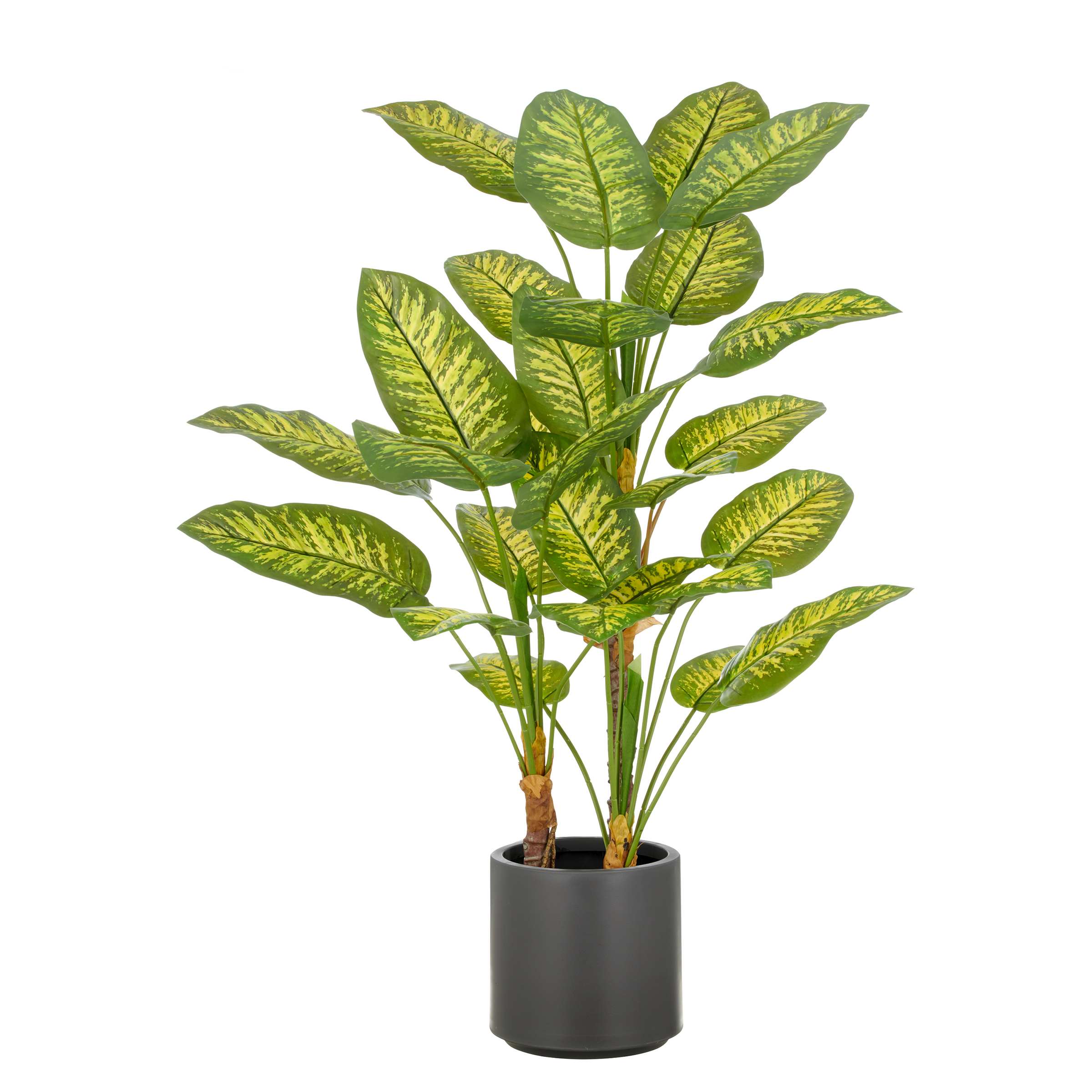 Kunstpflanze Dieffenbachia Typ B Polyethylen