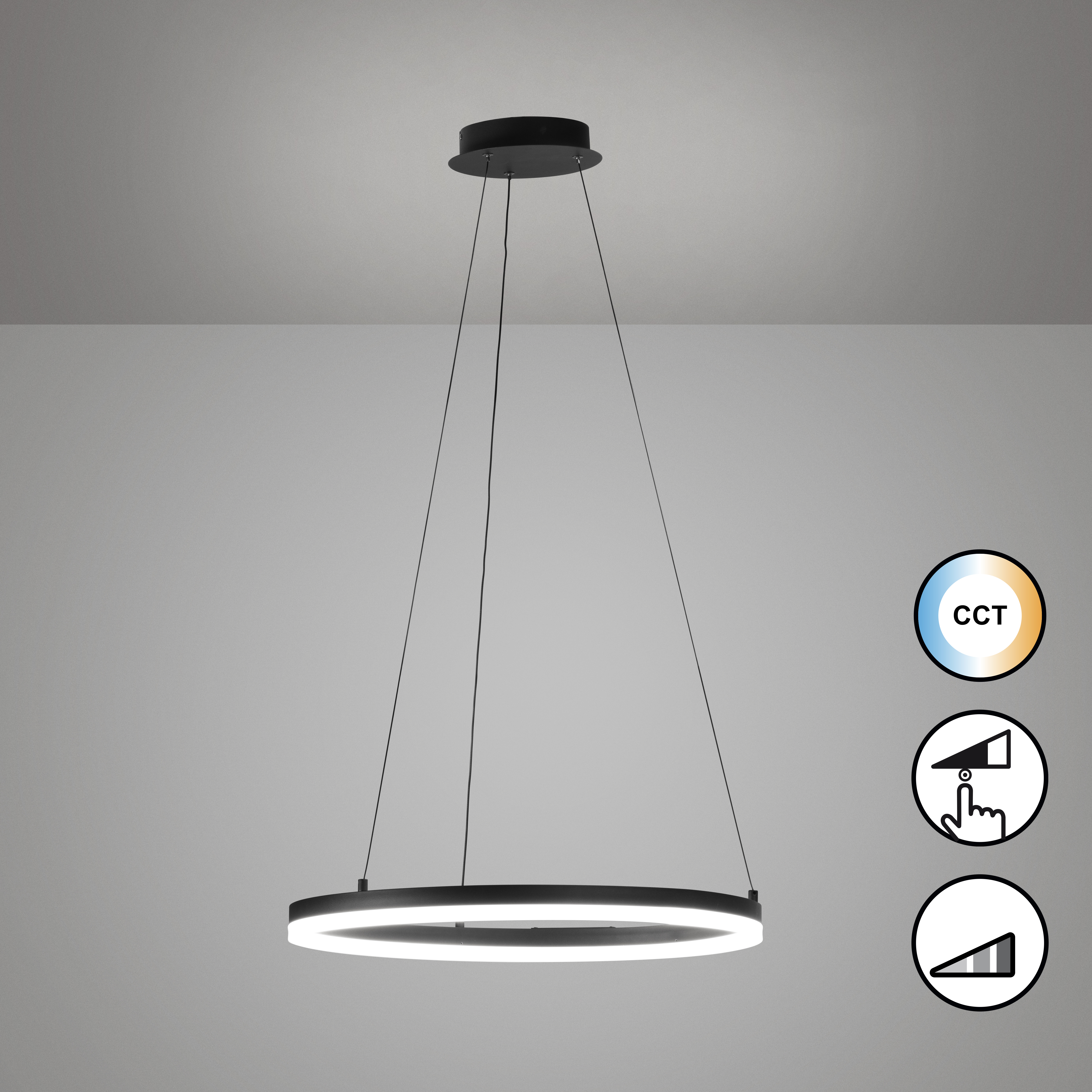 LED-Pendelleuchte Sirko Typ C Eisen Schwarz 1-flammig