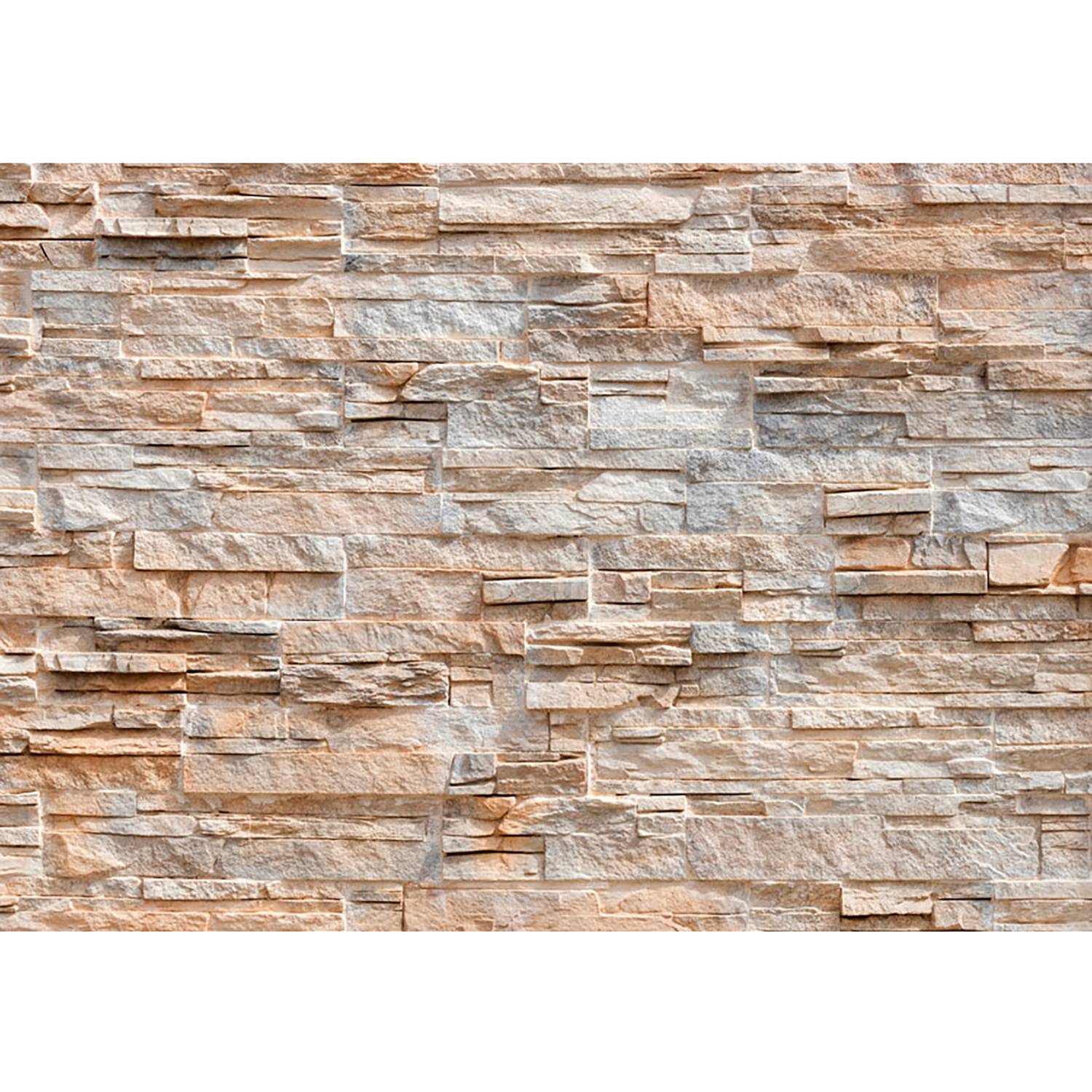 Vlies Fototapete Stone Virtuosity Vlies Braun 400 x 280 cm