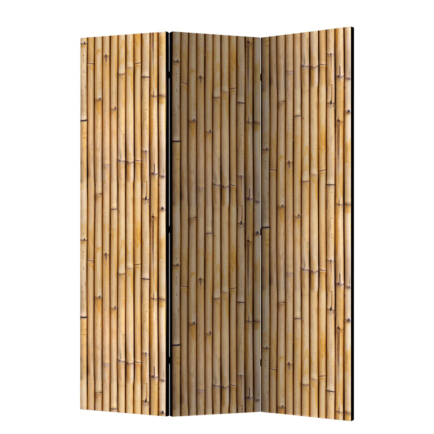 Paravent Amazonian Wall Vlies Braun 3-teilig
