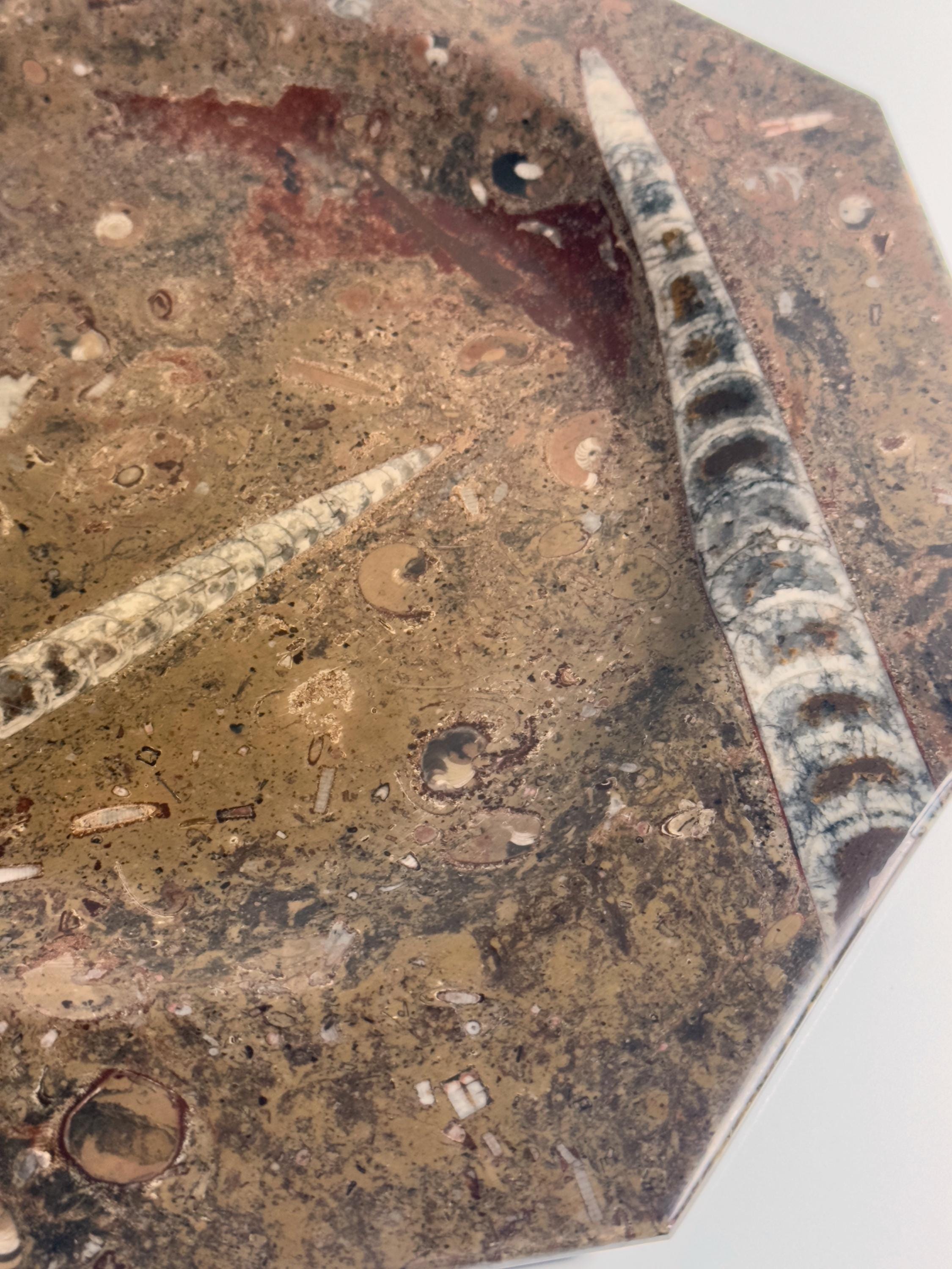 Vintage 2-teiliges Fossilienstein-Set mit Orthoceras
