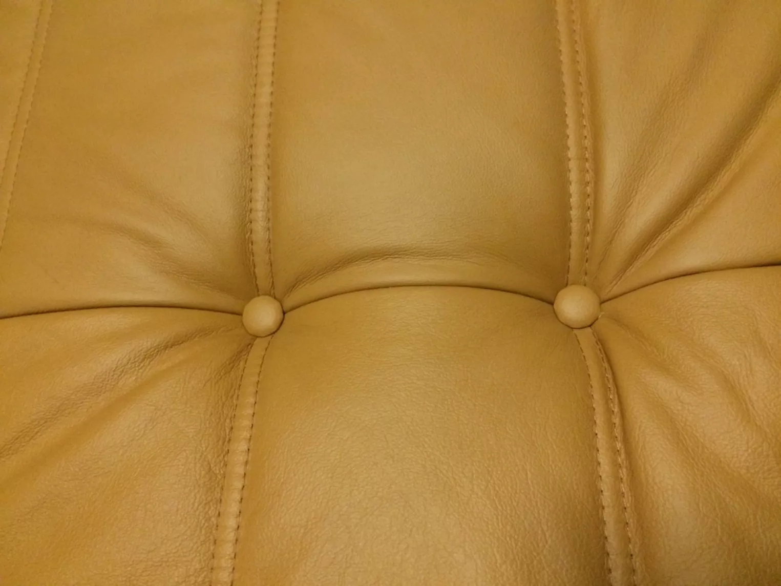 Togo Sofa 2-Sitzer Leder Beige