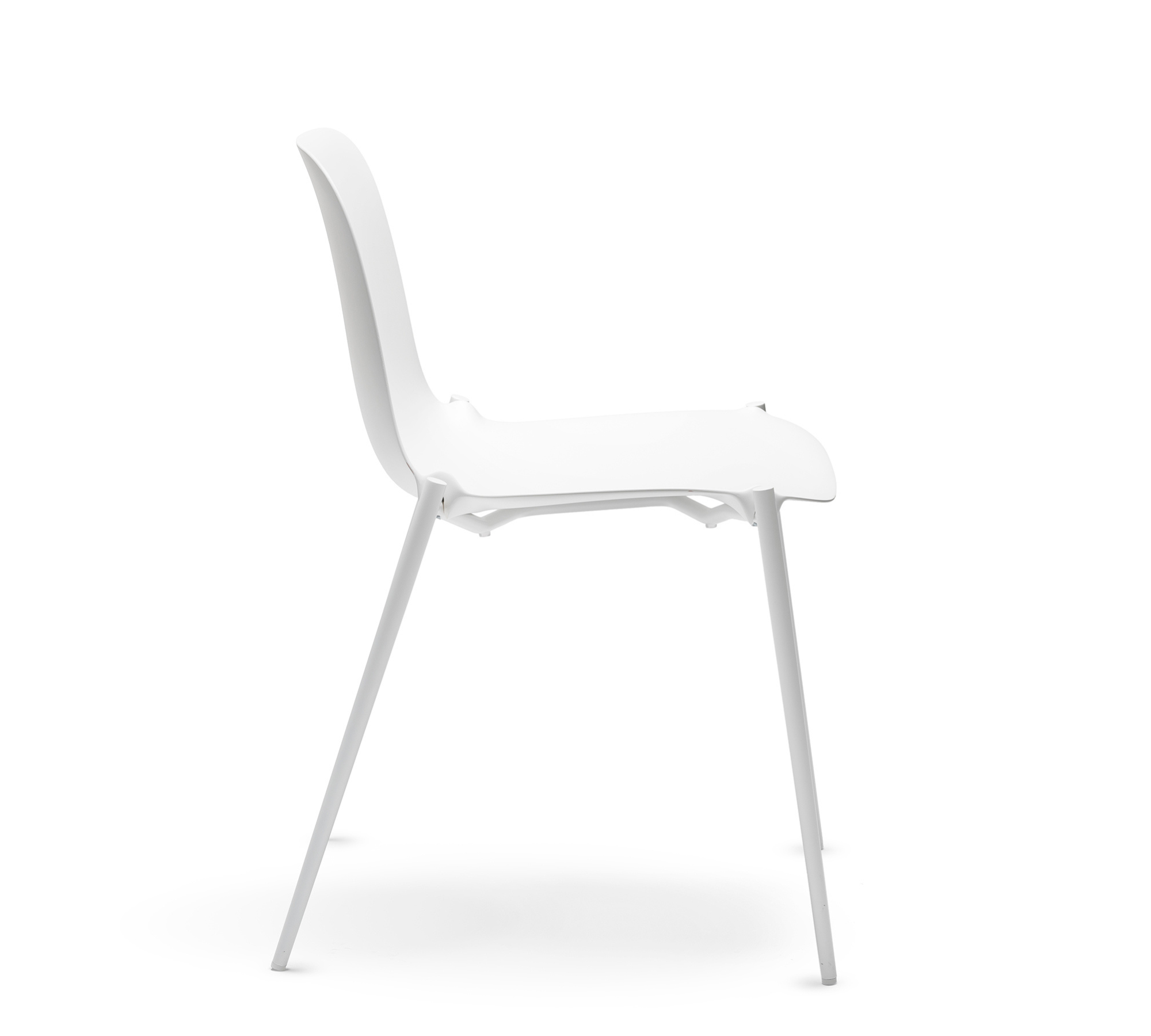 Dogo S Chair Plastic Metal White