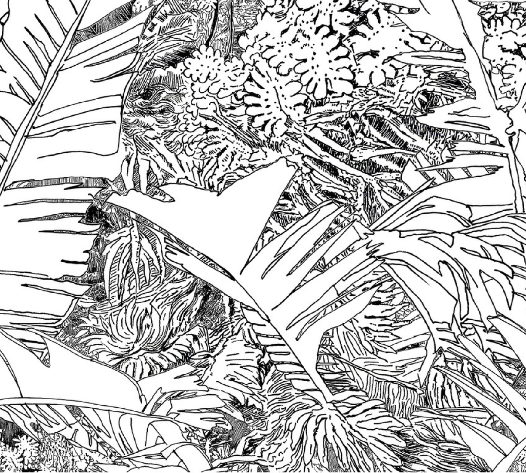 2x Jungle Wallpaper Black White
