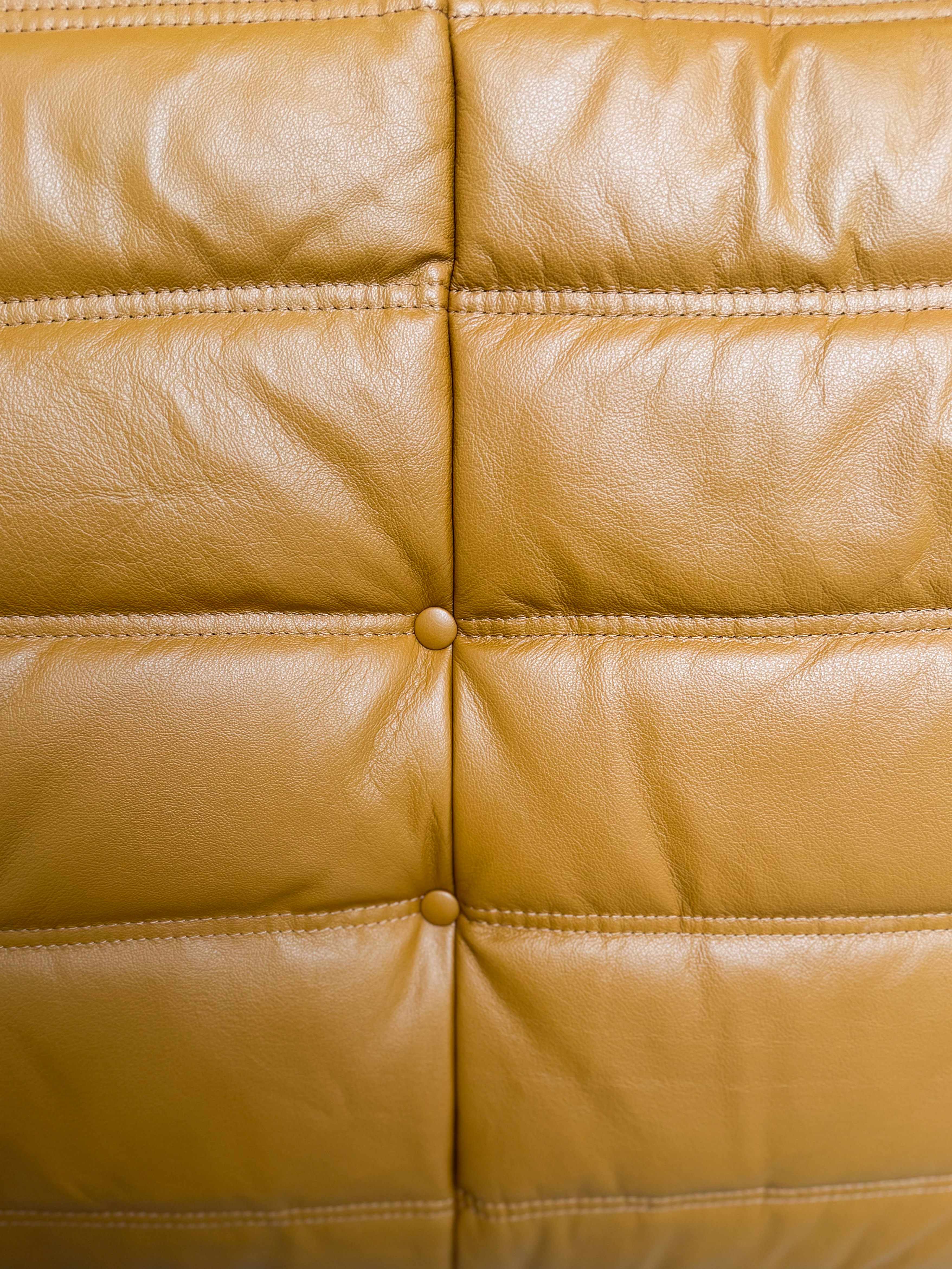 Togo Lounge Set 5-pc. High-gloss leather Cognac Light