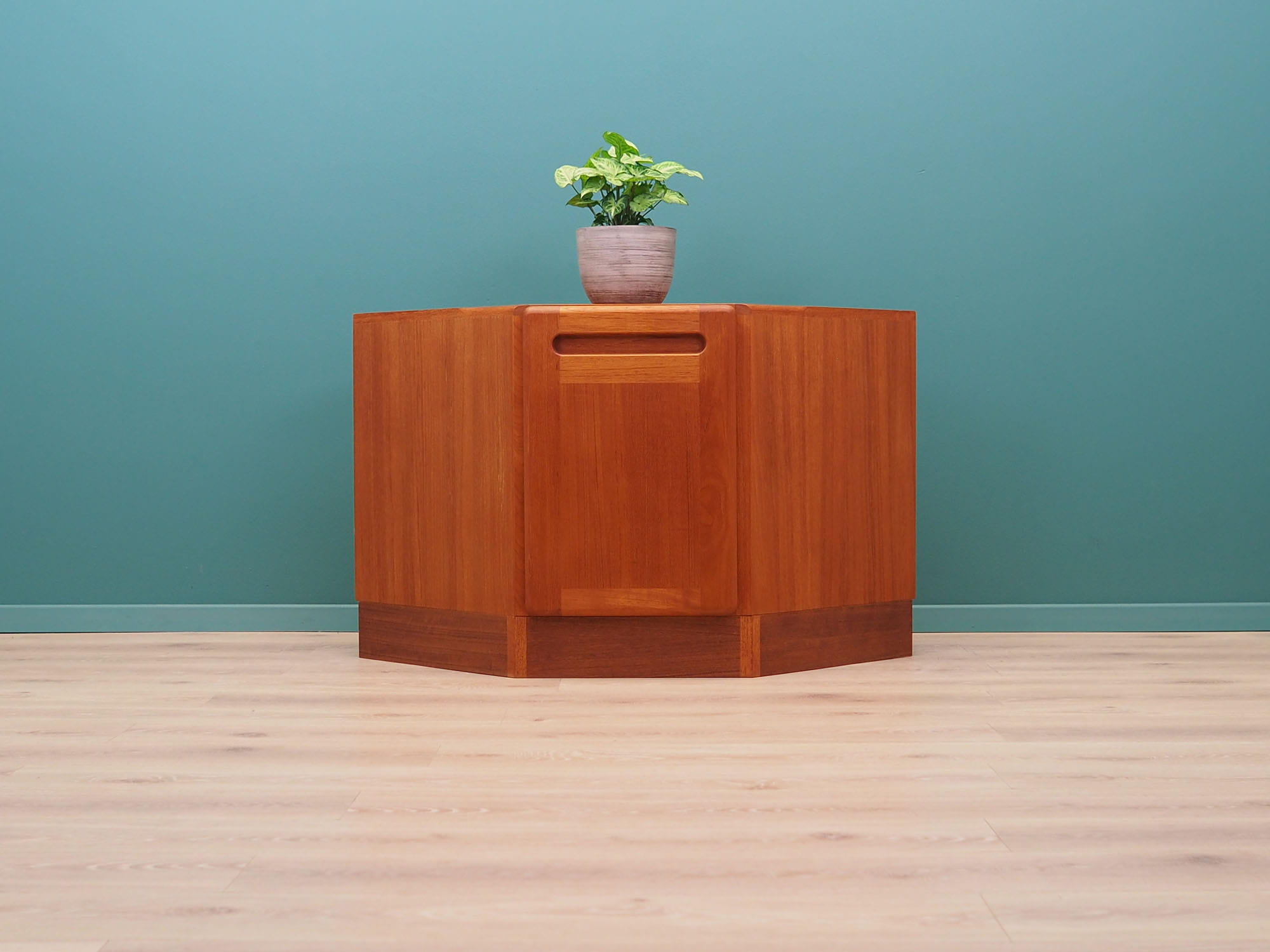 Vintage Cabinet Teak Brown 1970s