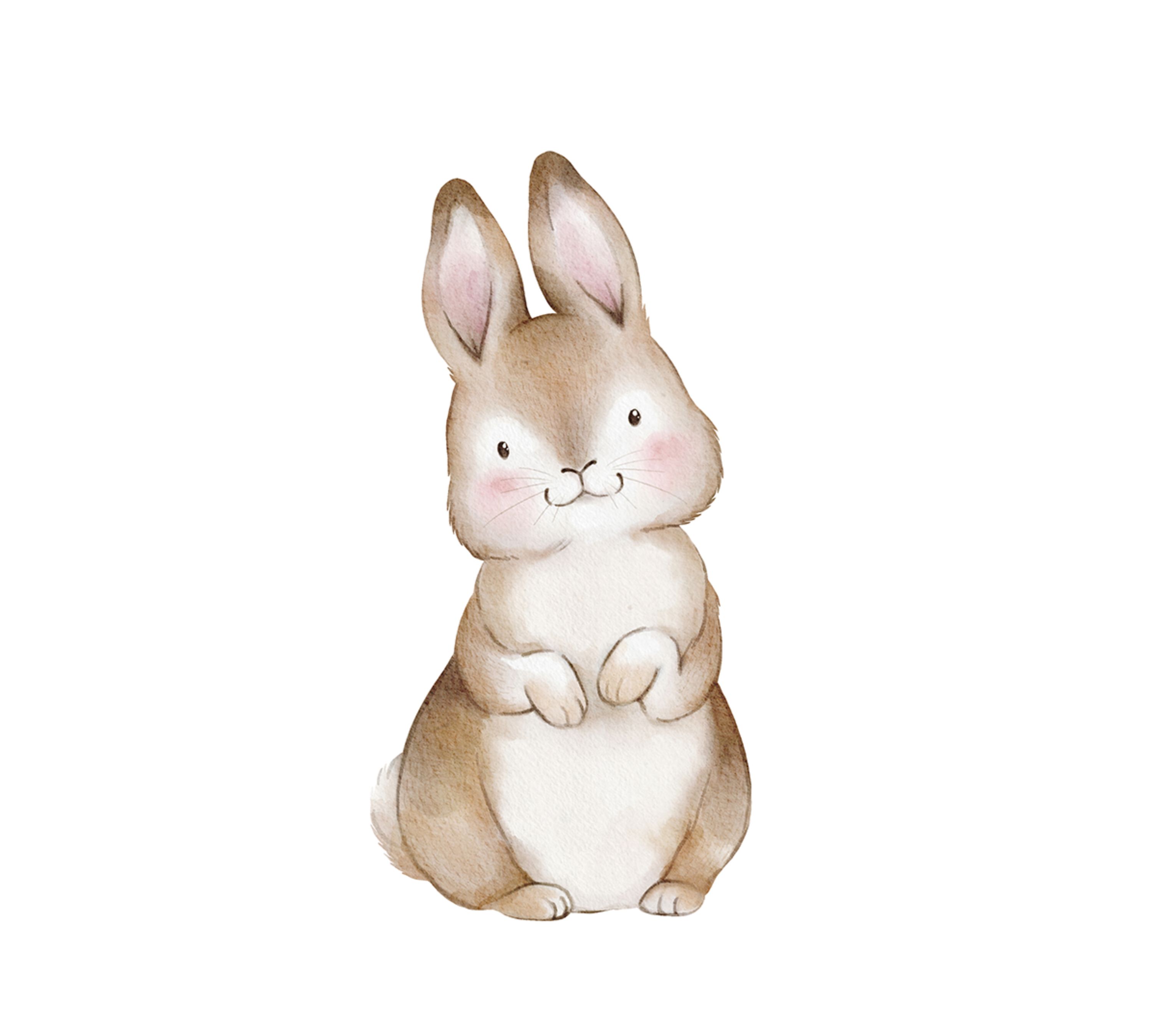 Little Rabbit Art Print with Frame Multicolored