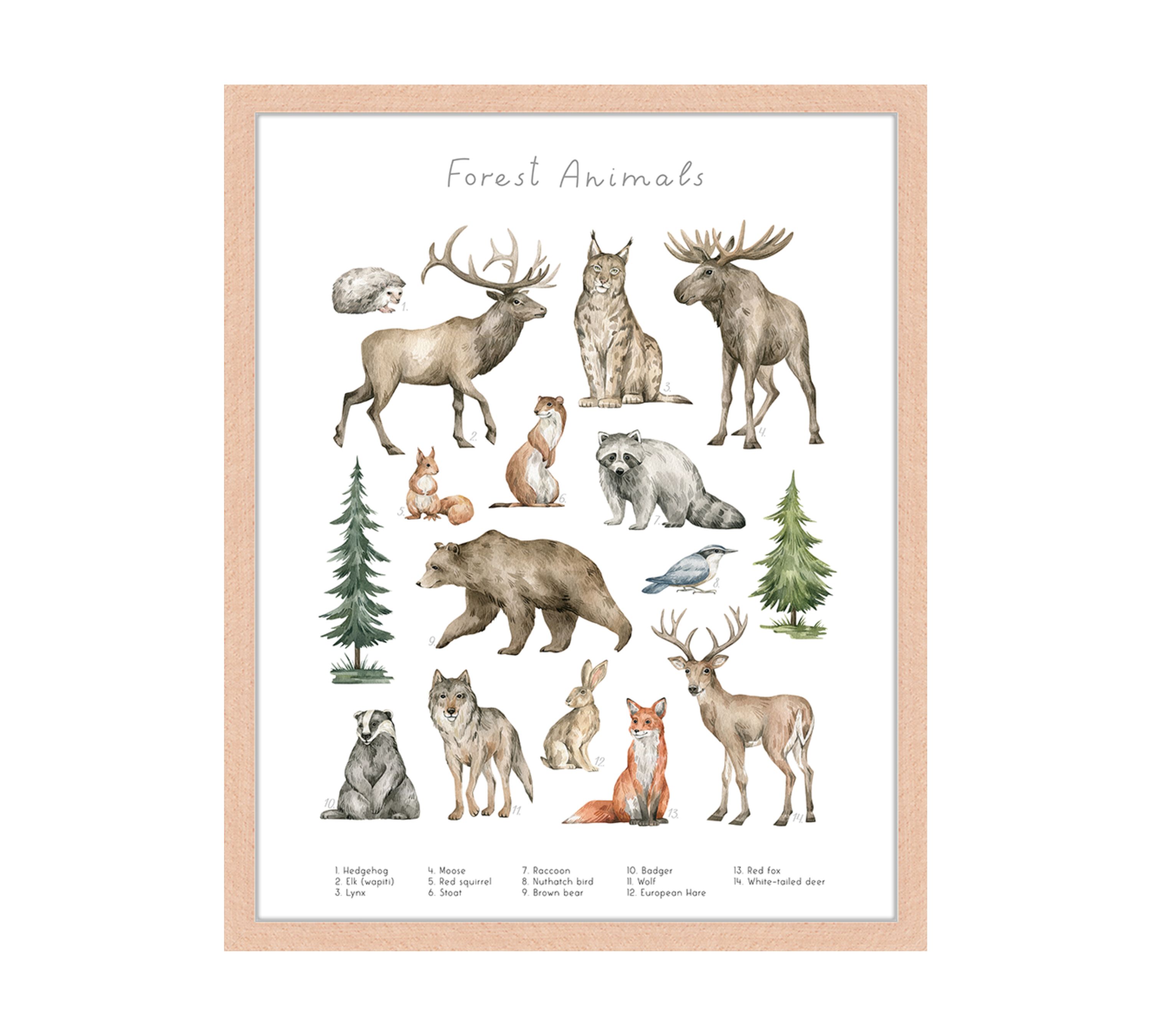 Forest Animals Art Print with Frame Multicolor