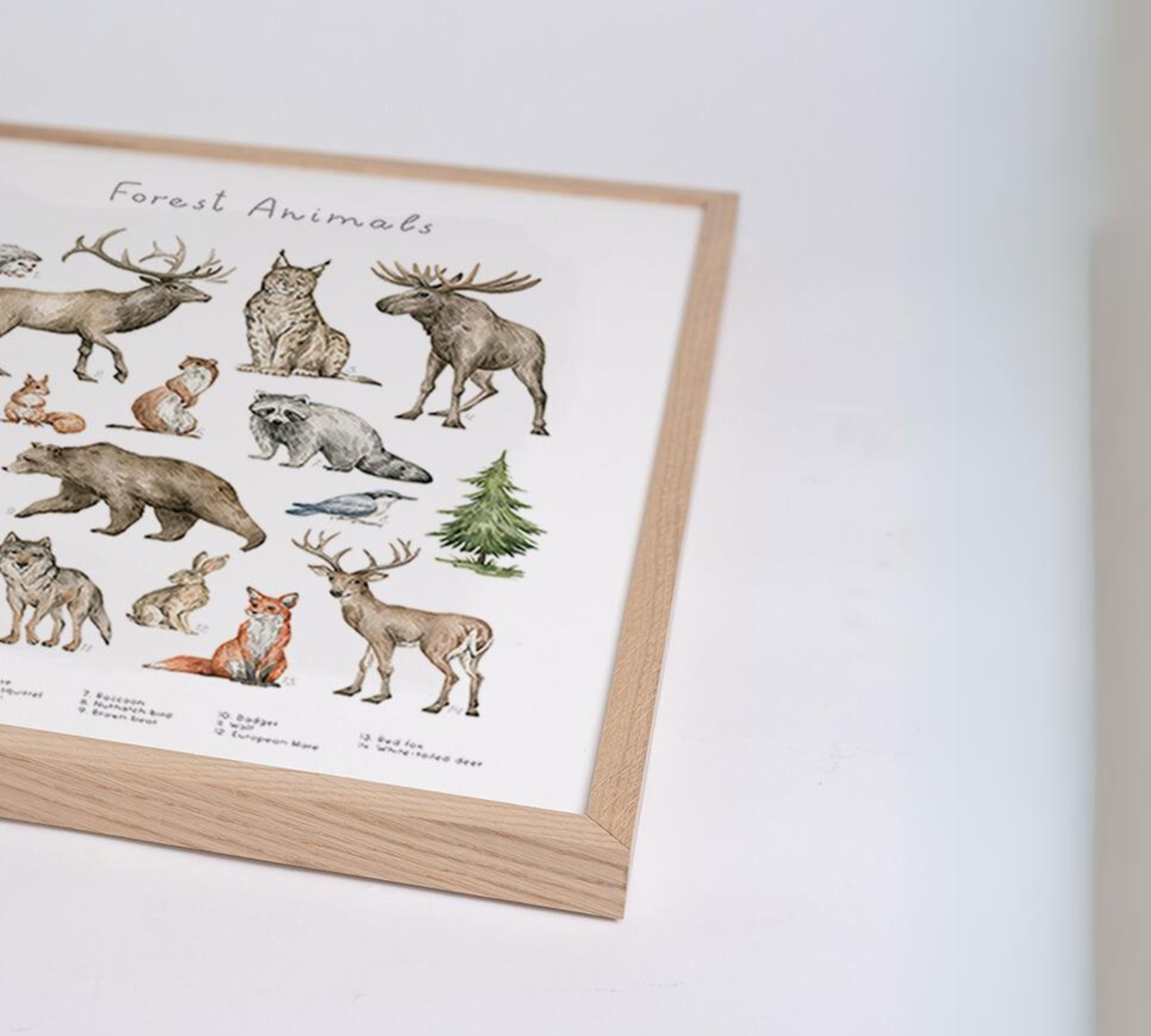 Forest Animals Art Print with Frame Multicolor