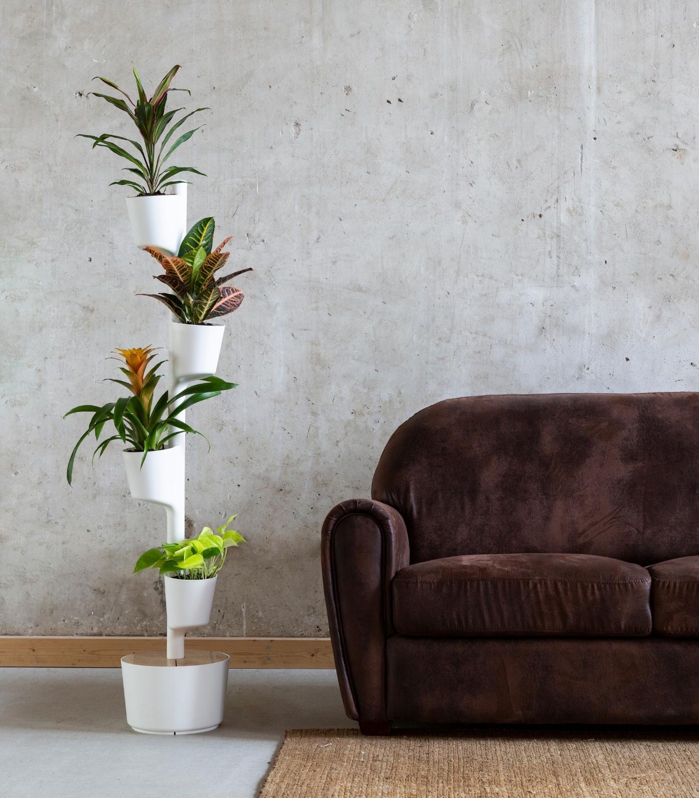 Design Award: Pine wood planting system Automatic watering