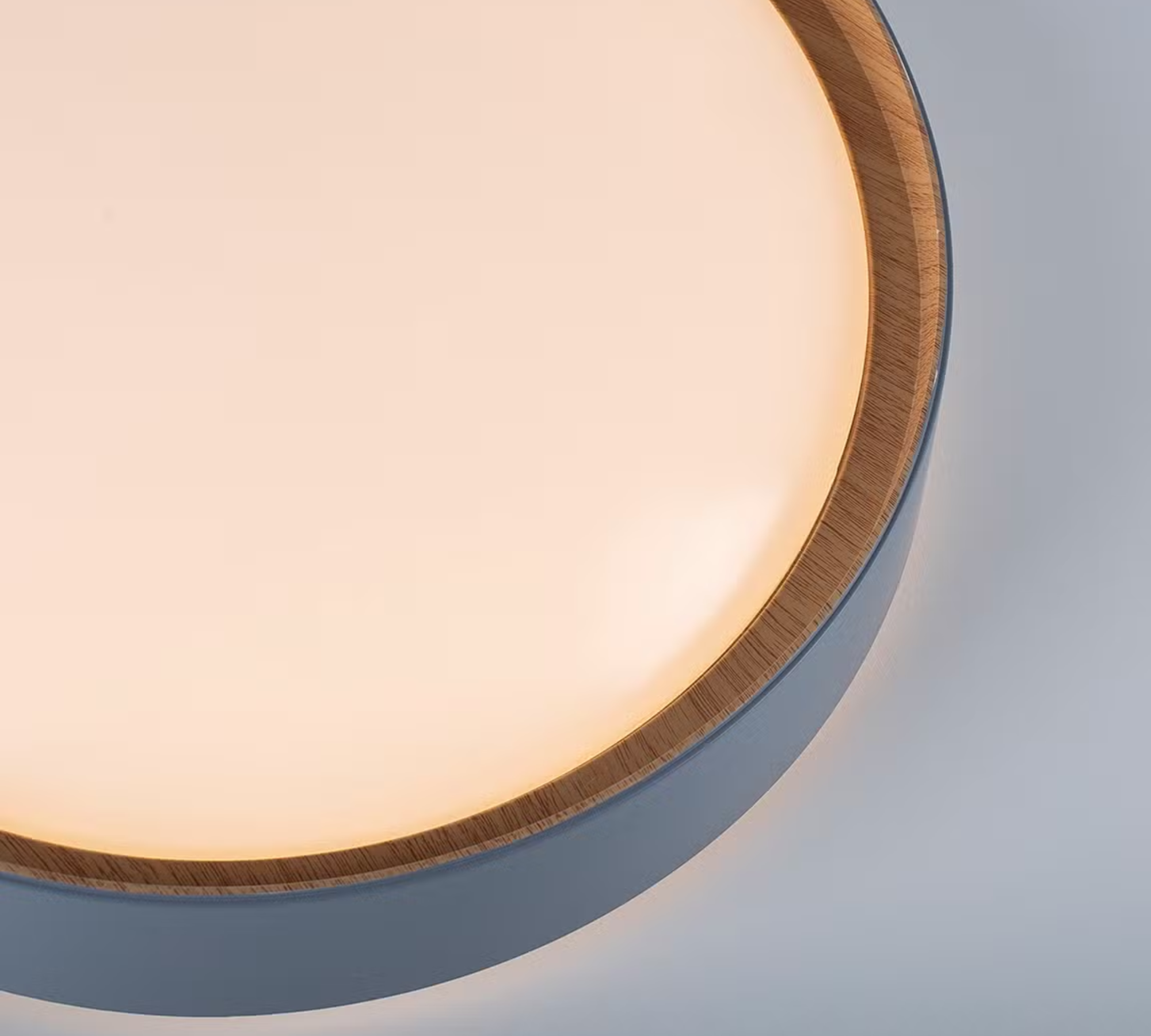 Emilia LED Ceiling Light Polycarbonate Grey