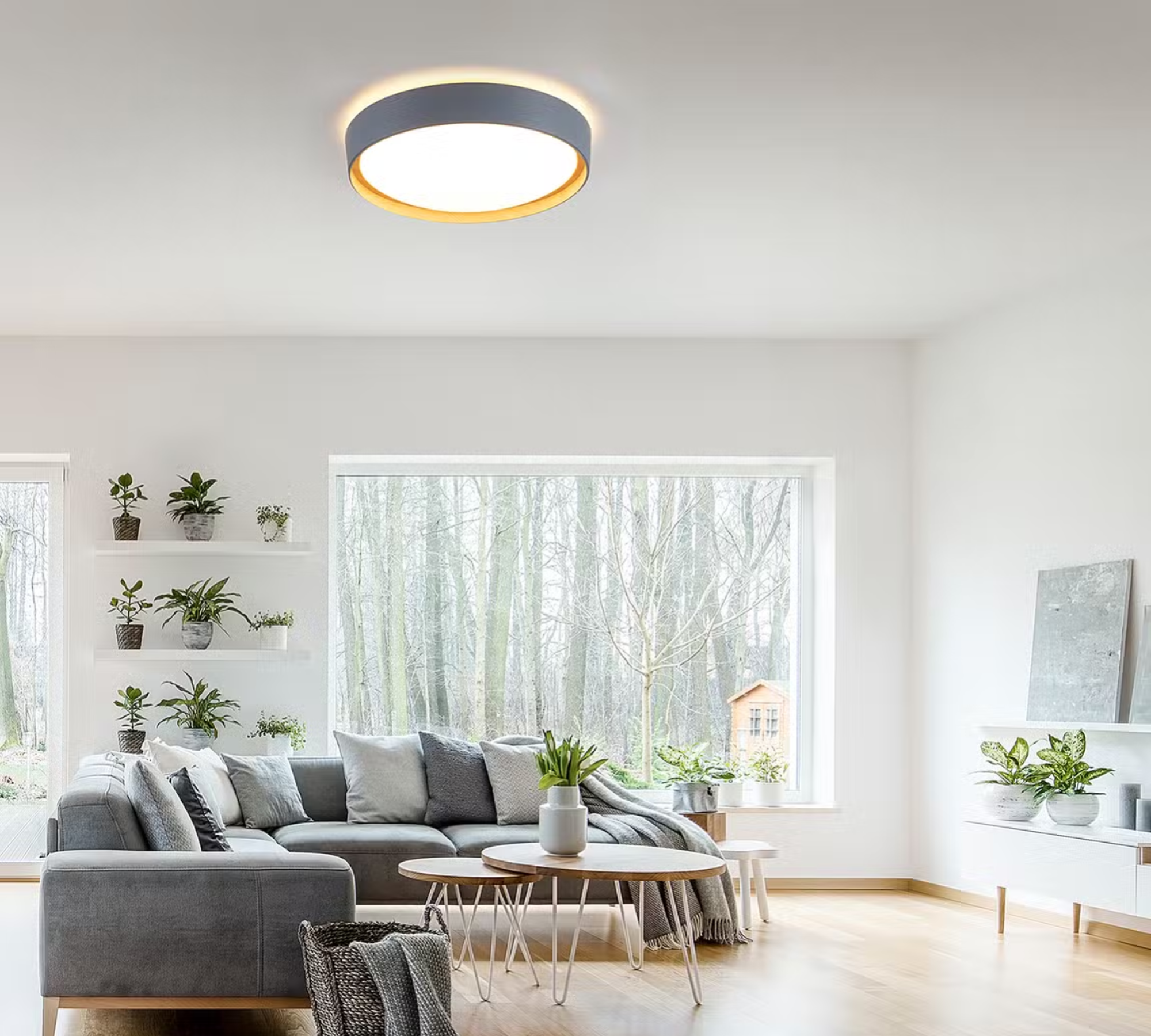 Emilia LED Ceiling Light Polycarbonate Grey