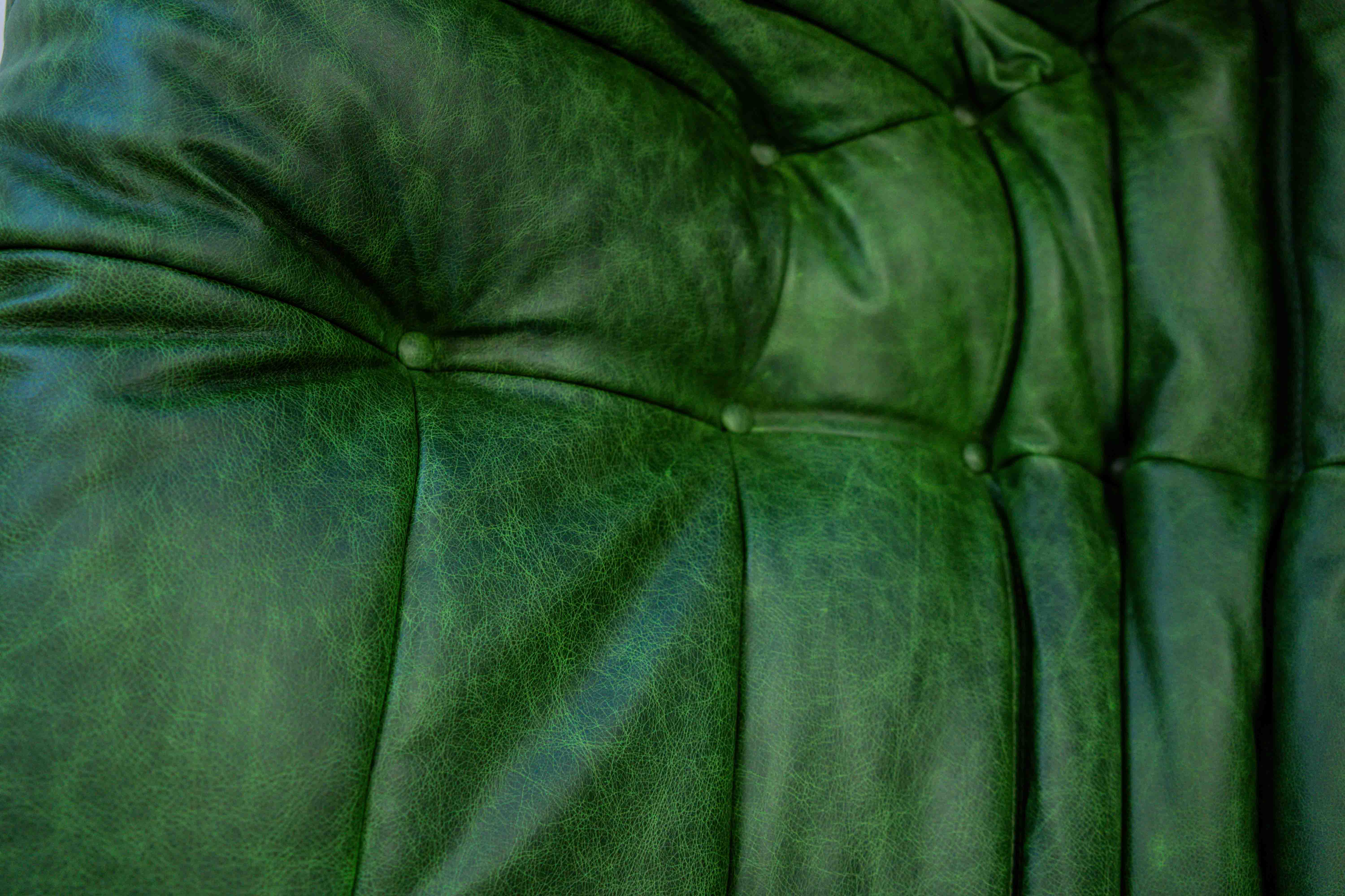Togo Sofa 2-seater with armrest Pull-Up-Leather Green