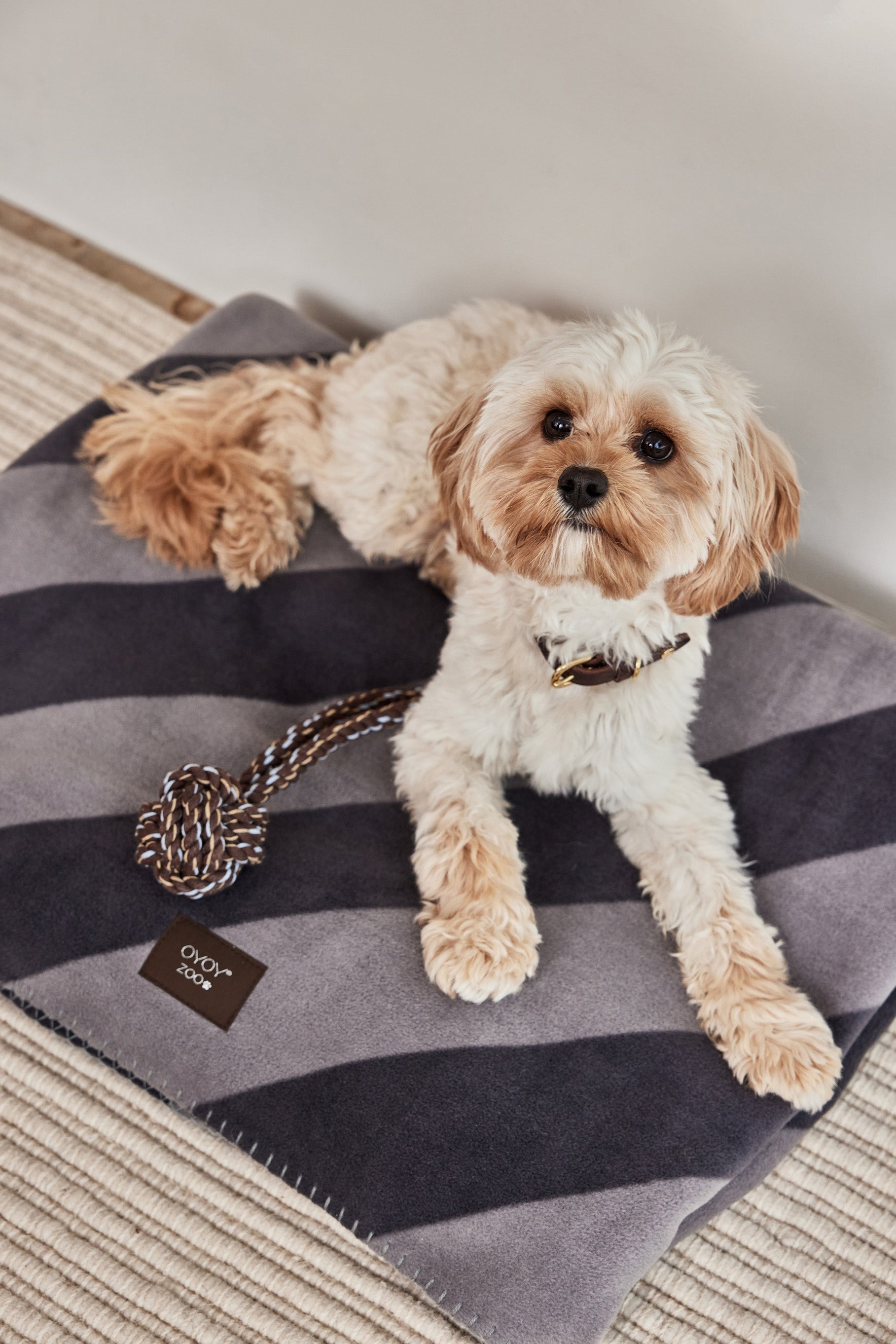 Kaya Dog Blanket Small Polyester Grey