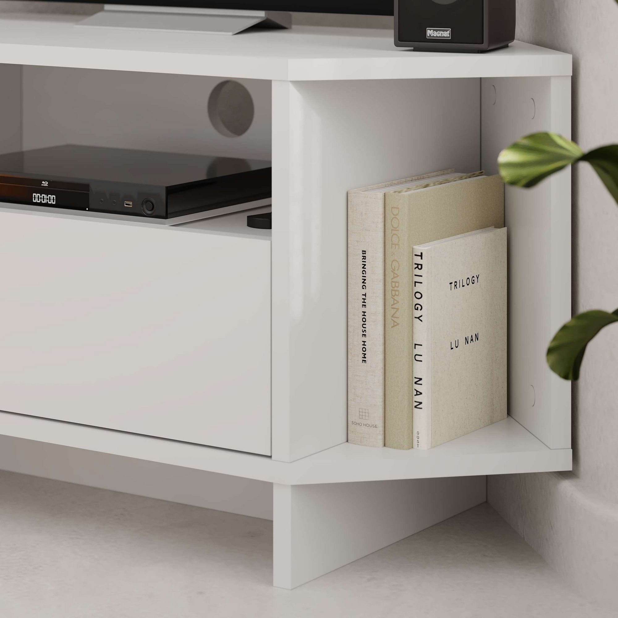 Viva Lowboard Wood Veneer White