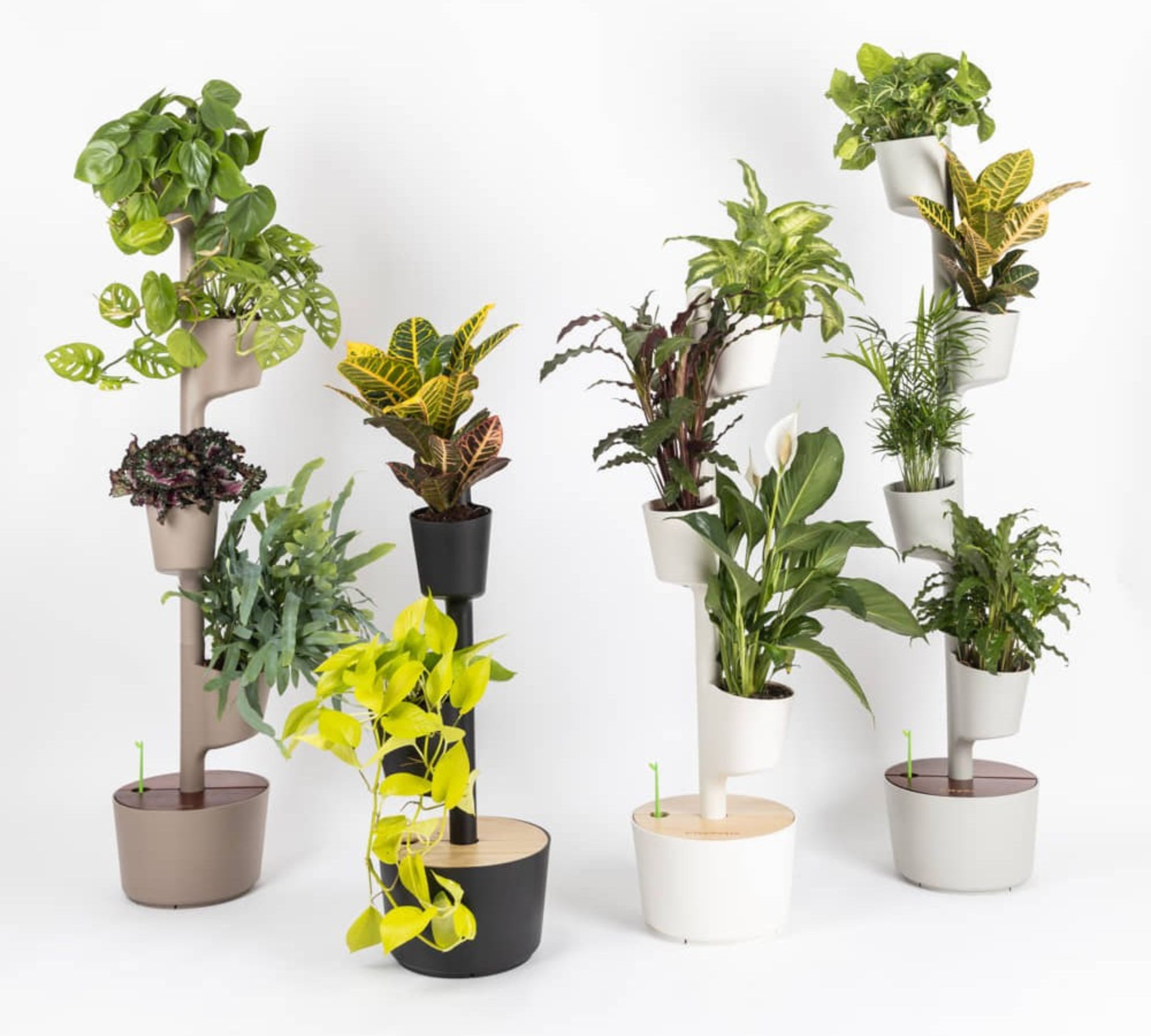 Design Award: Pine Wood Planter Black