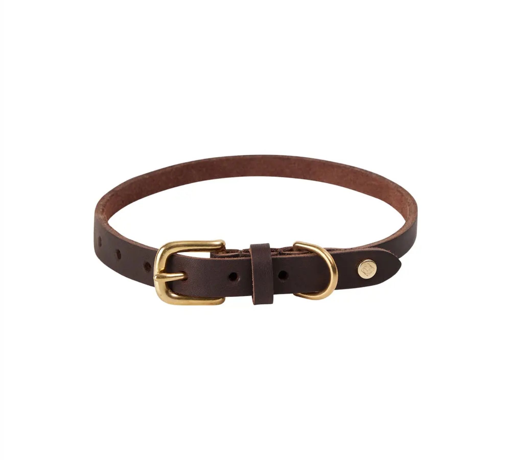 Robin Hundehalsband Leder Schokoladenbraun