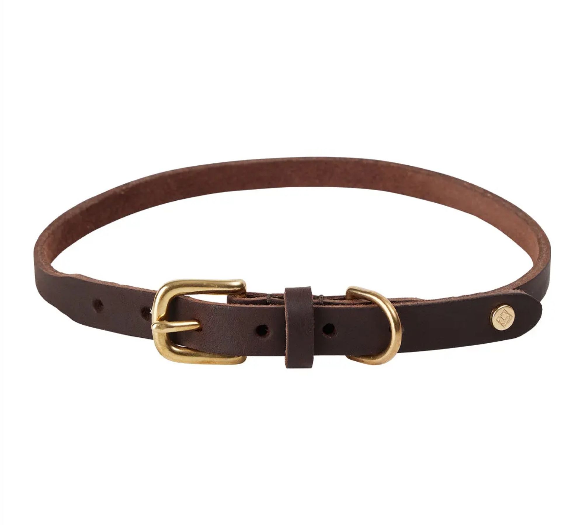 Robin Hundehalsband Leder Schokoladenbraun