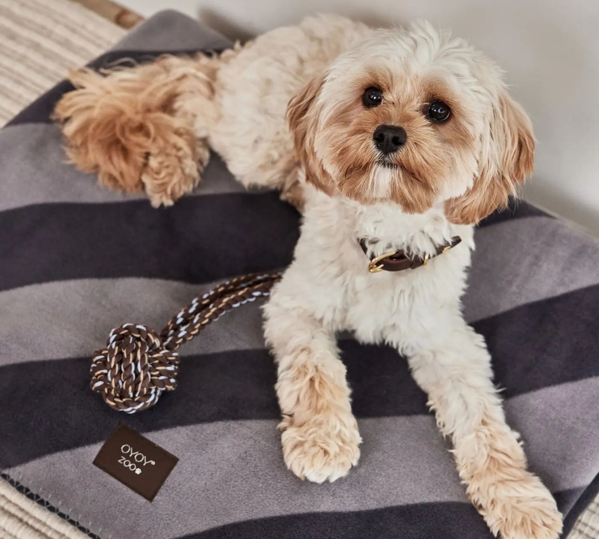 Kaya Dog Blanket Large Polyester Gray
