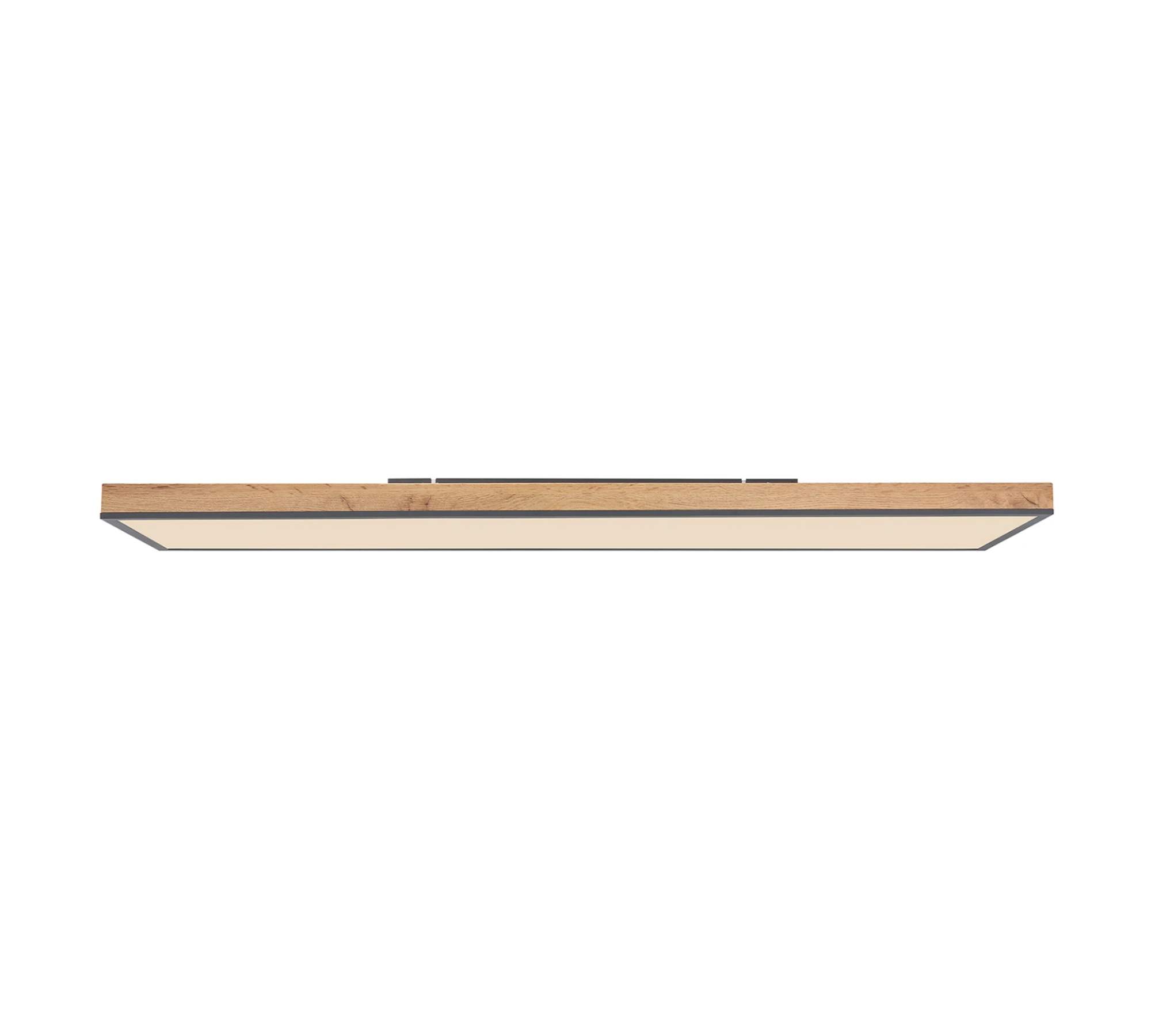 LED Ceiling light 1-bulb Acrylic Aluminum