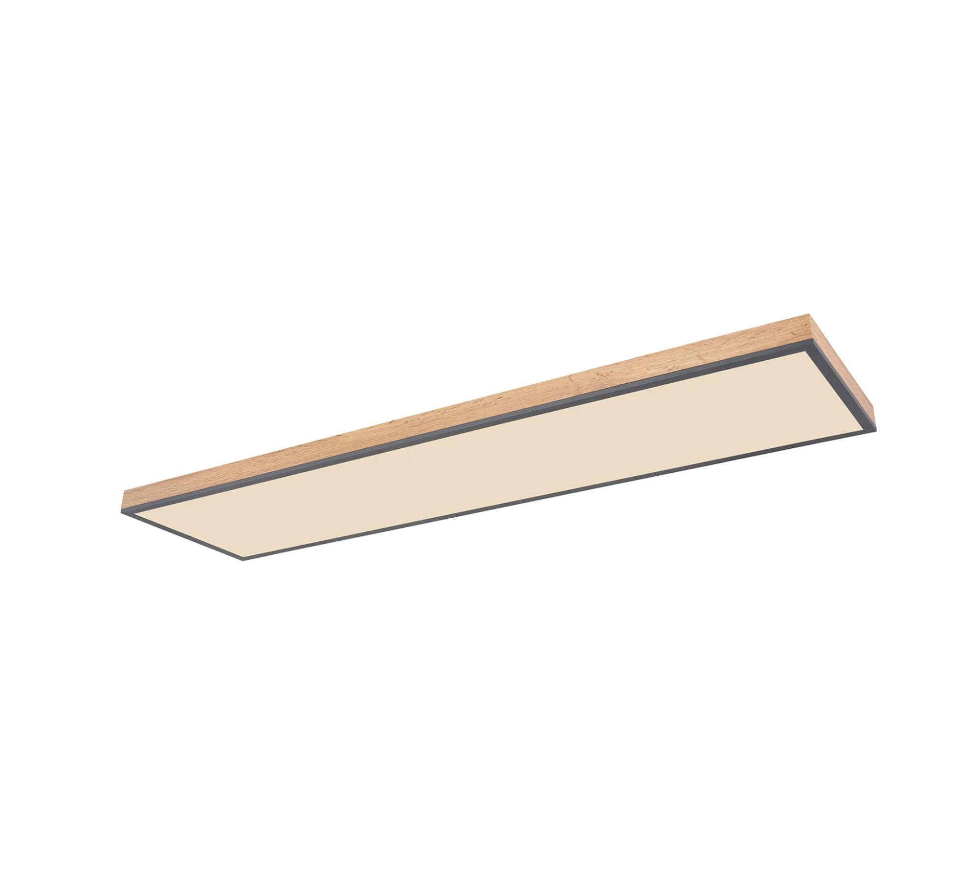 LED Ceiling light 1-bulb Acrylic Aluminum