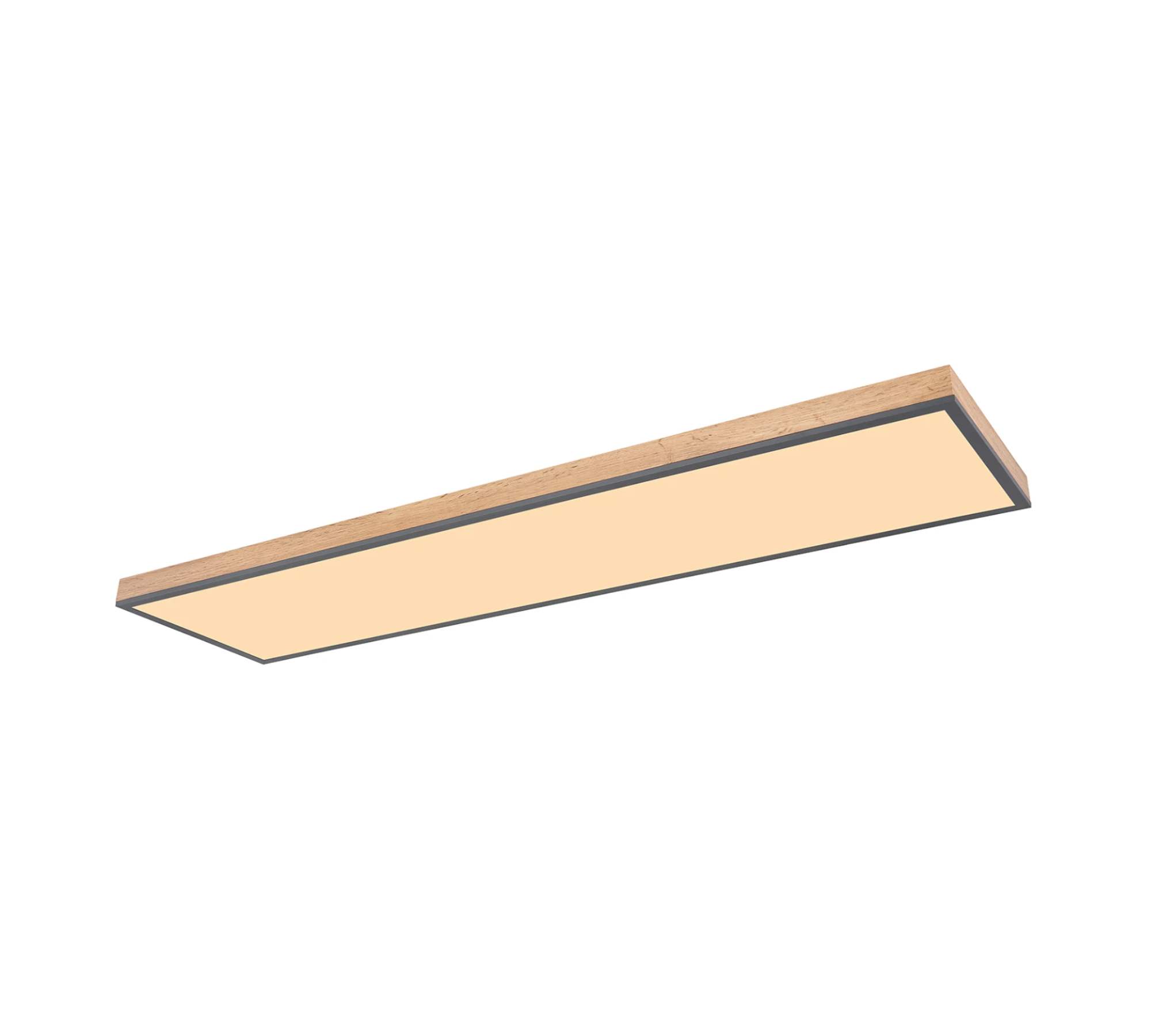 LED Ceiling light 1-bulb Acrylic Aluminum