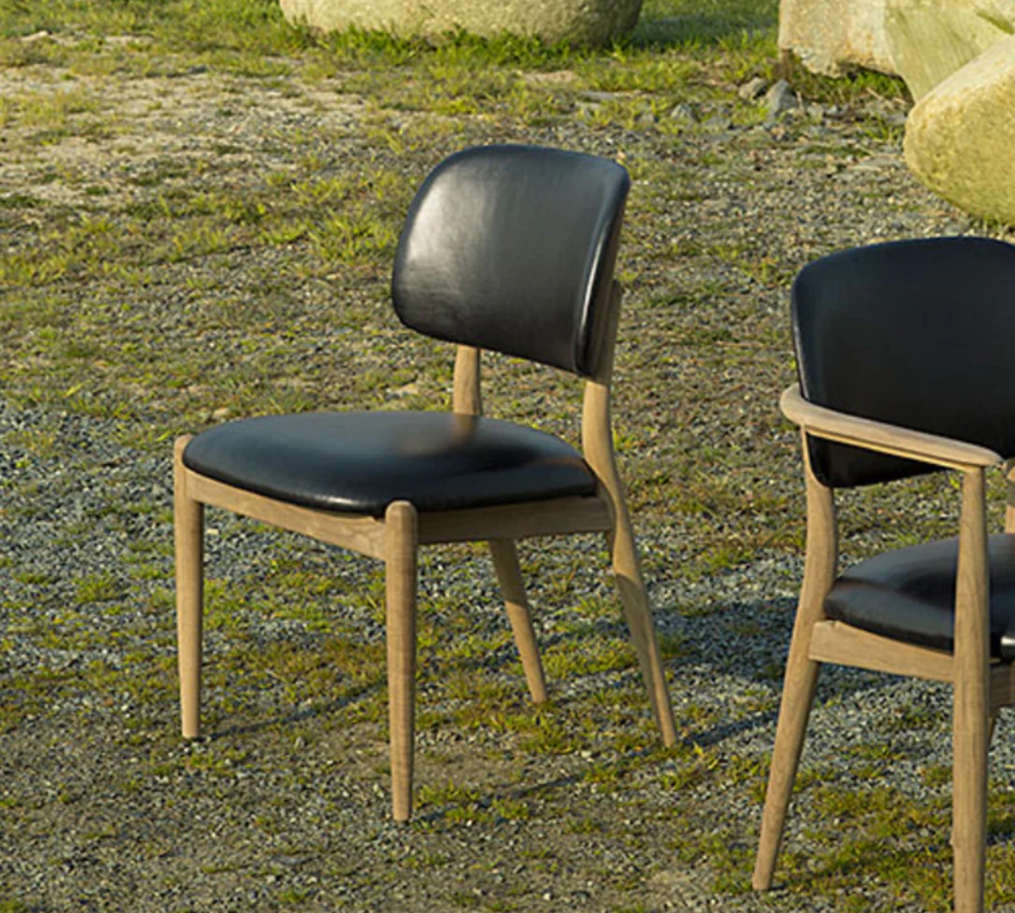 Sedia Slow Pelle Legno di noce Nero