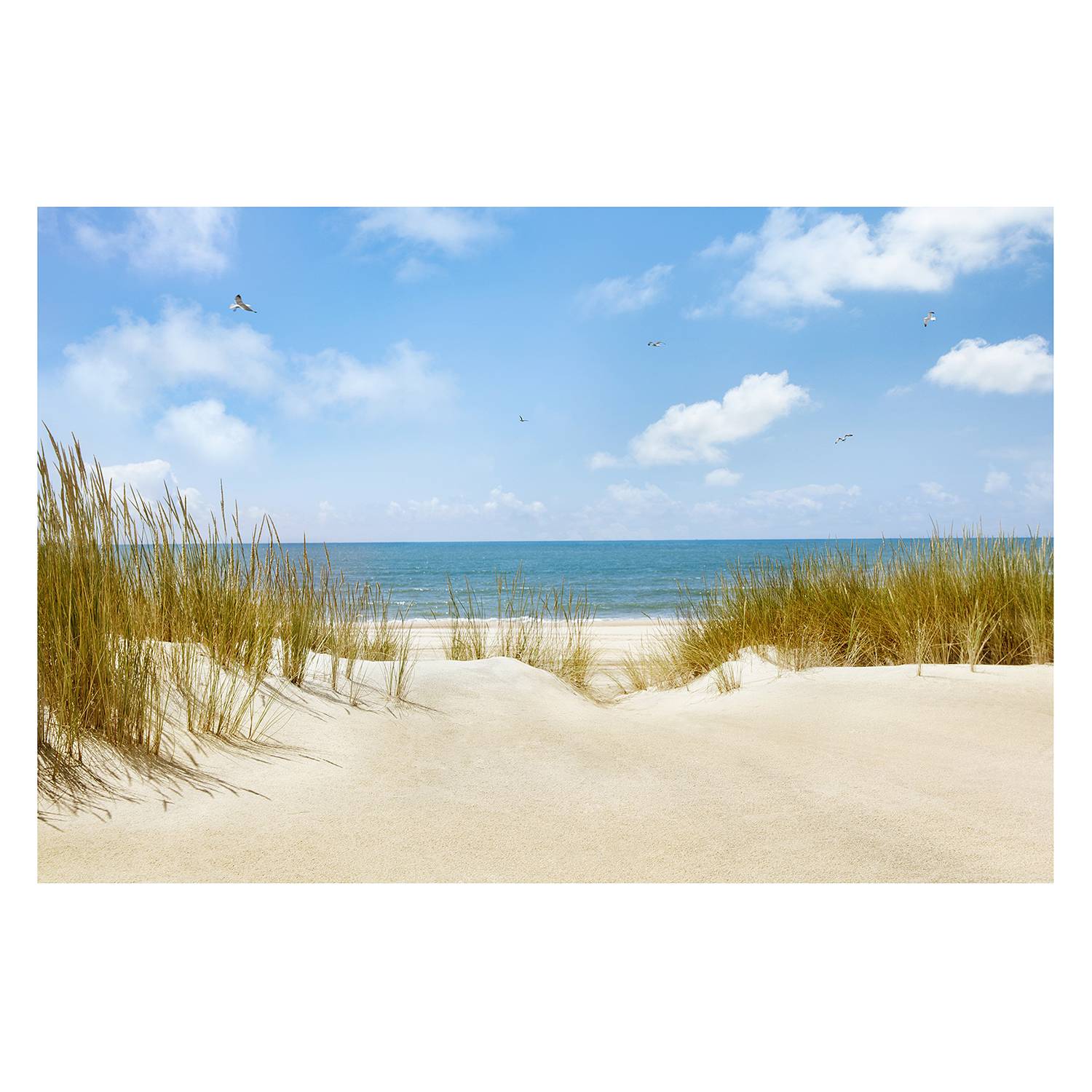 Vliestapete Nordsee Strand Vliespapier Mehrfarbig