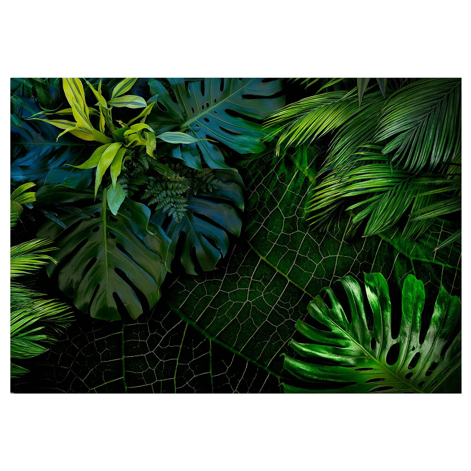 Non-woven wallpaper Darl Jungle Green Leaves Non-woven Green