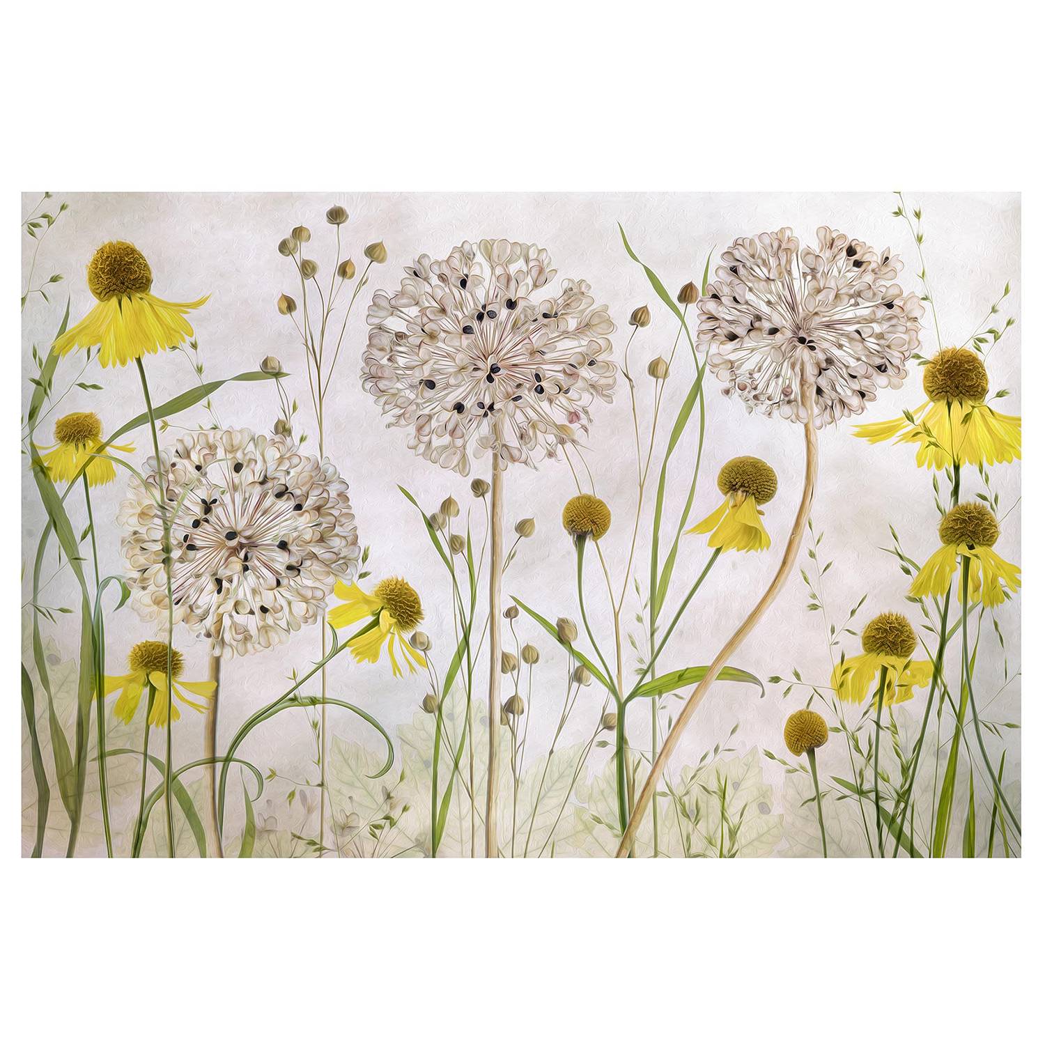 Non-woven wallpaper Allium Helenium Beige