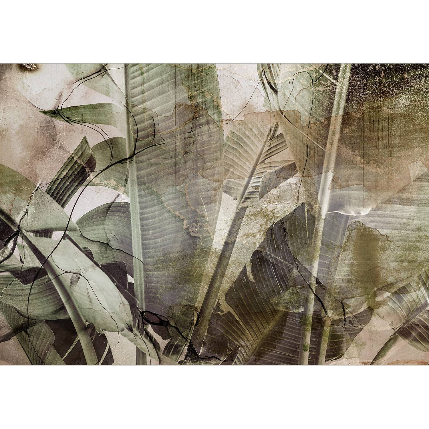 Vlies Fototapete Banana Jungle Vlies Grün 400 x 280 cm