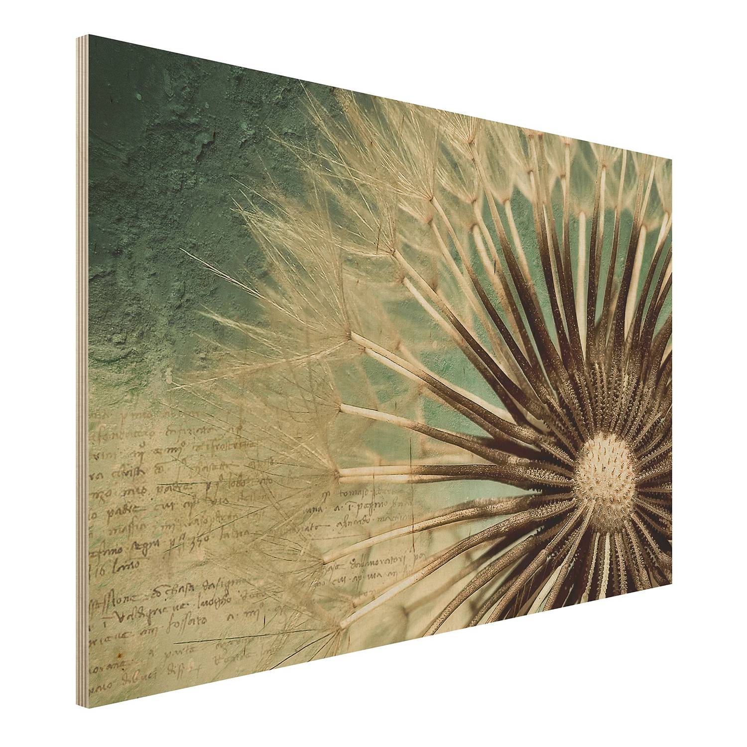 Picture Dandelion Birch Wood Panel Multicolored