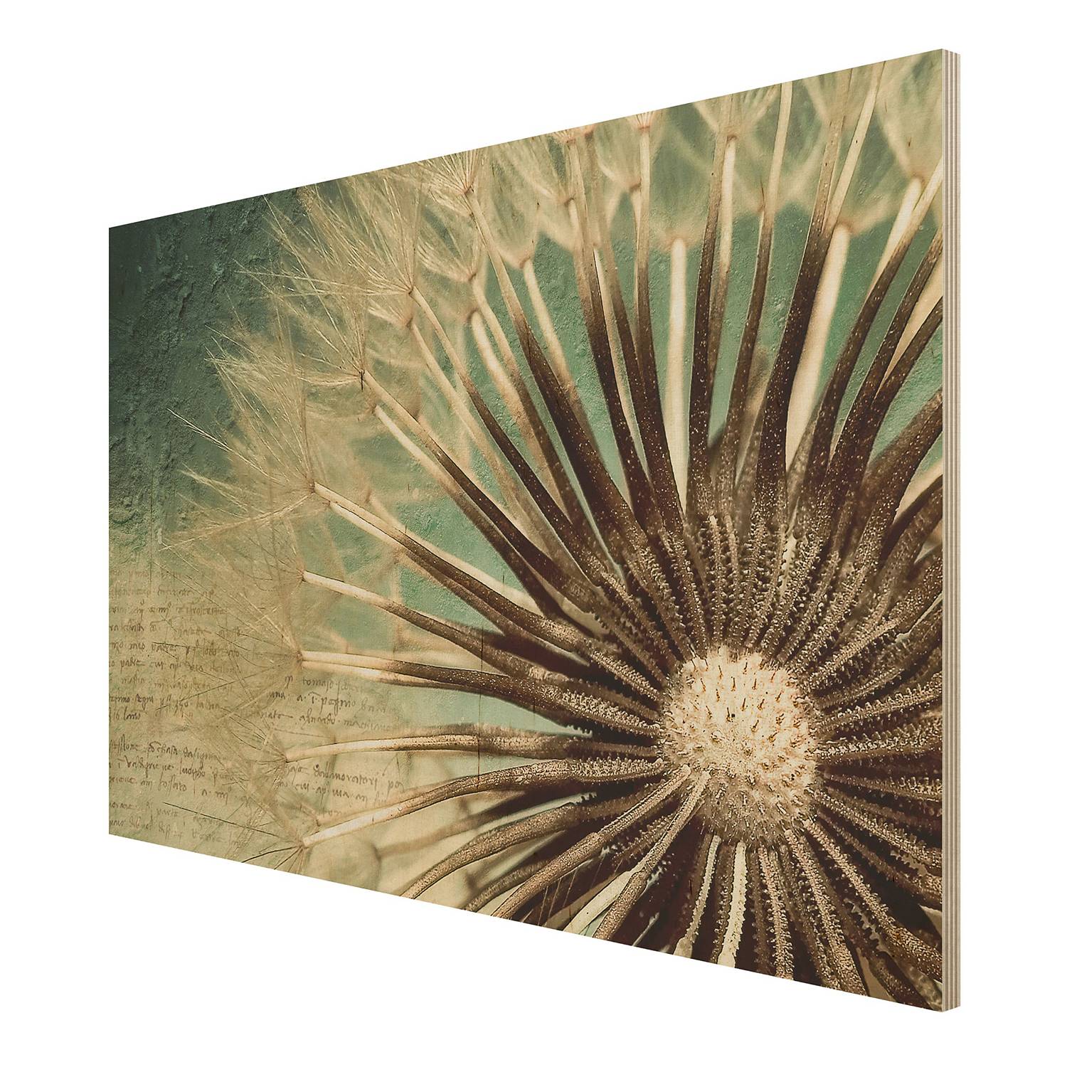 Picture Dandelion Birch Wood Panel Multicolored