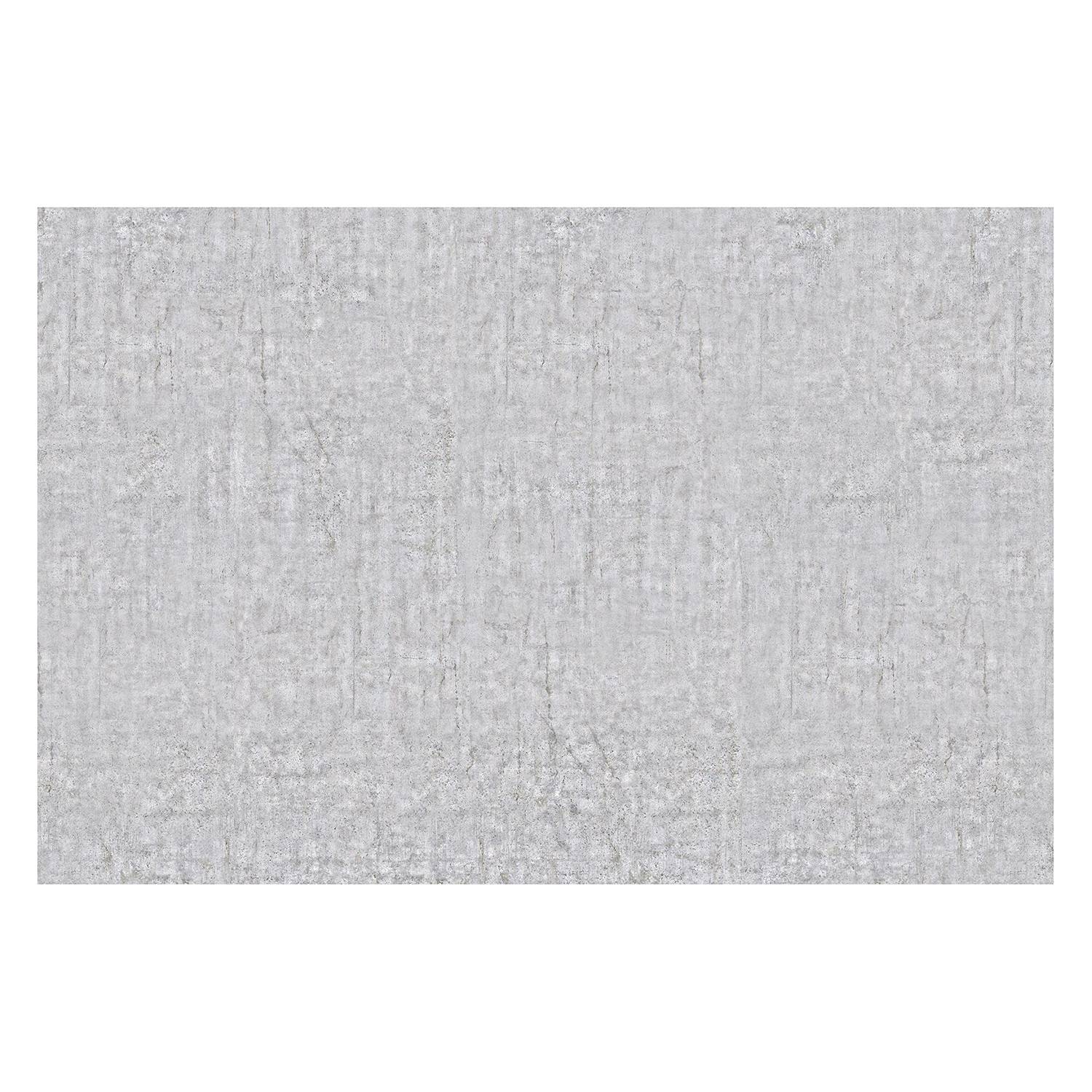 Vliestapete Beton Ciré Vliespapier Hellgrau 384 x 255 cm